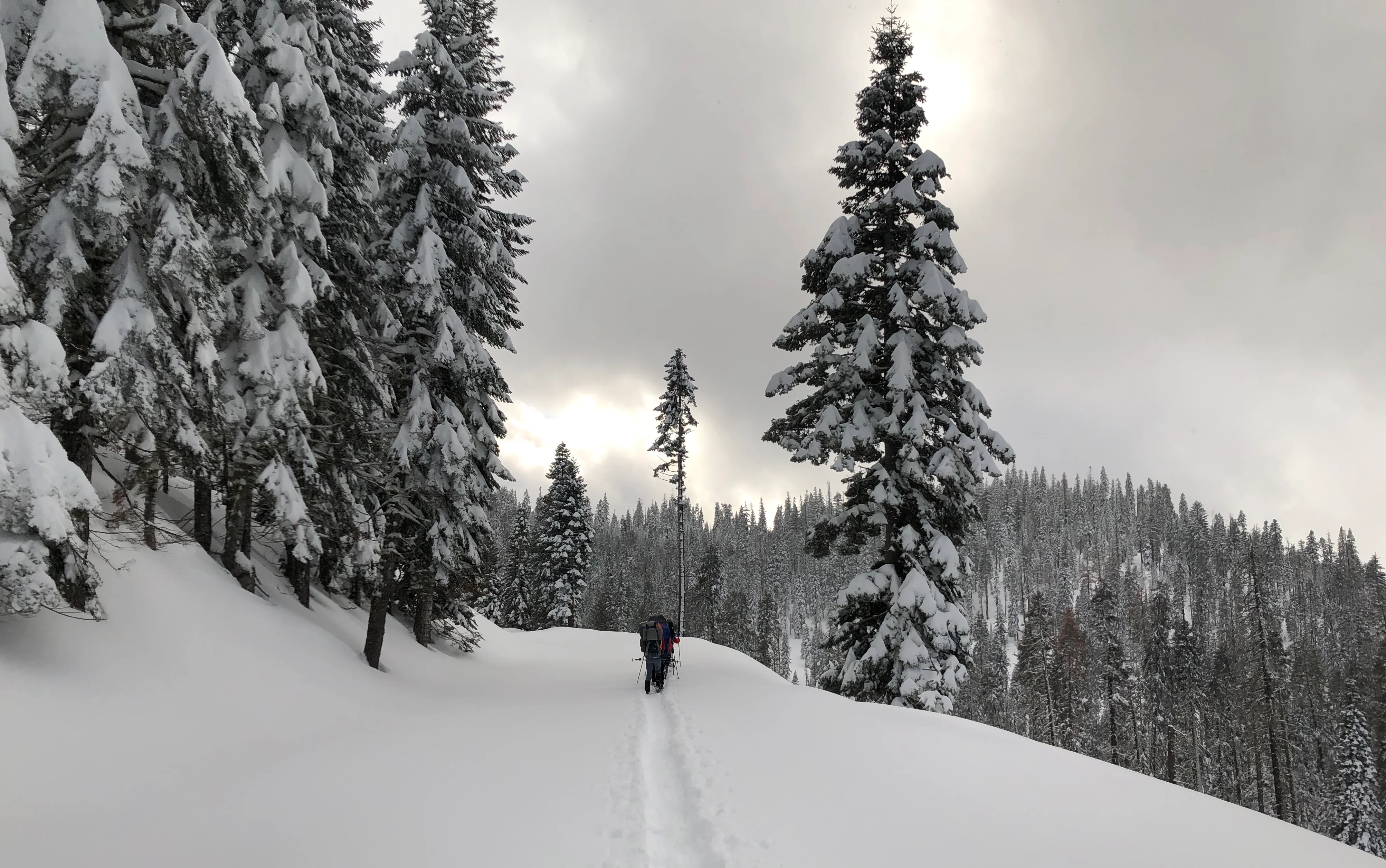 Snowshoeing Yosemite: Valley Overlook - Image 16