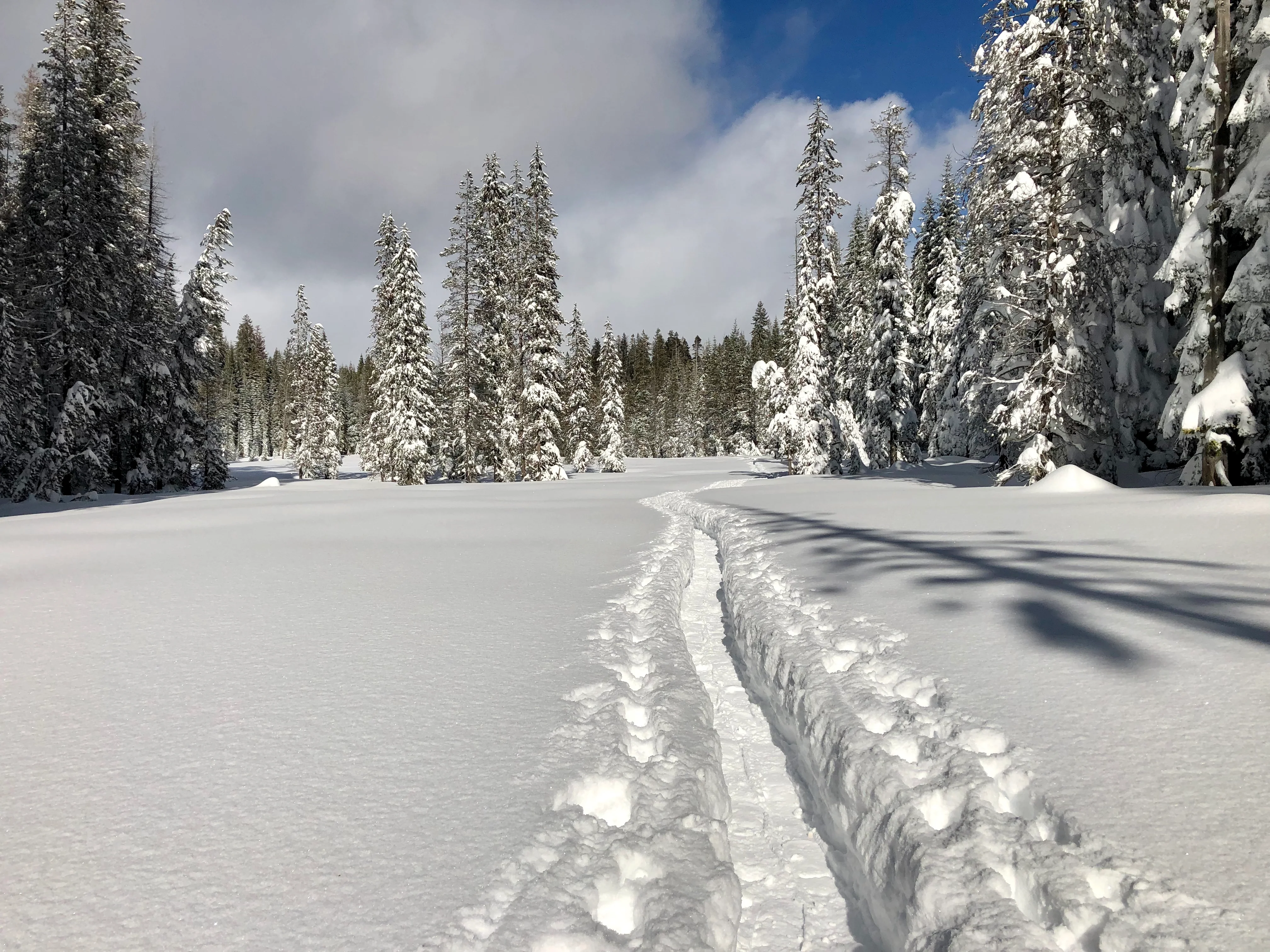 Snowshoeing Yosemite: Valley Overlook - Image 28