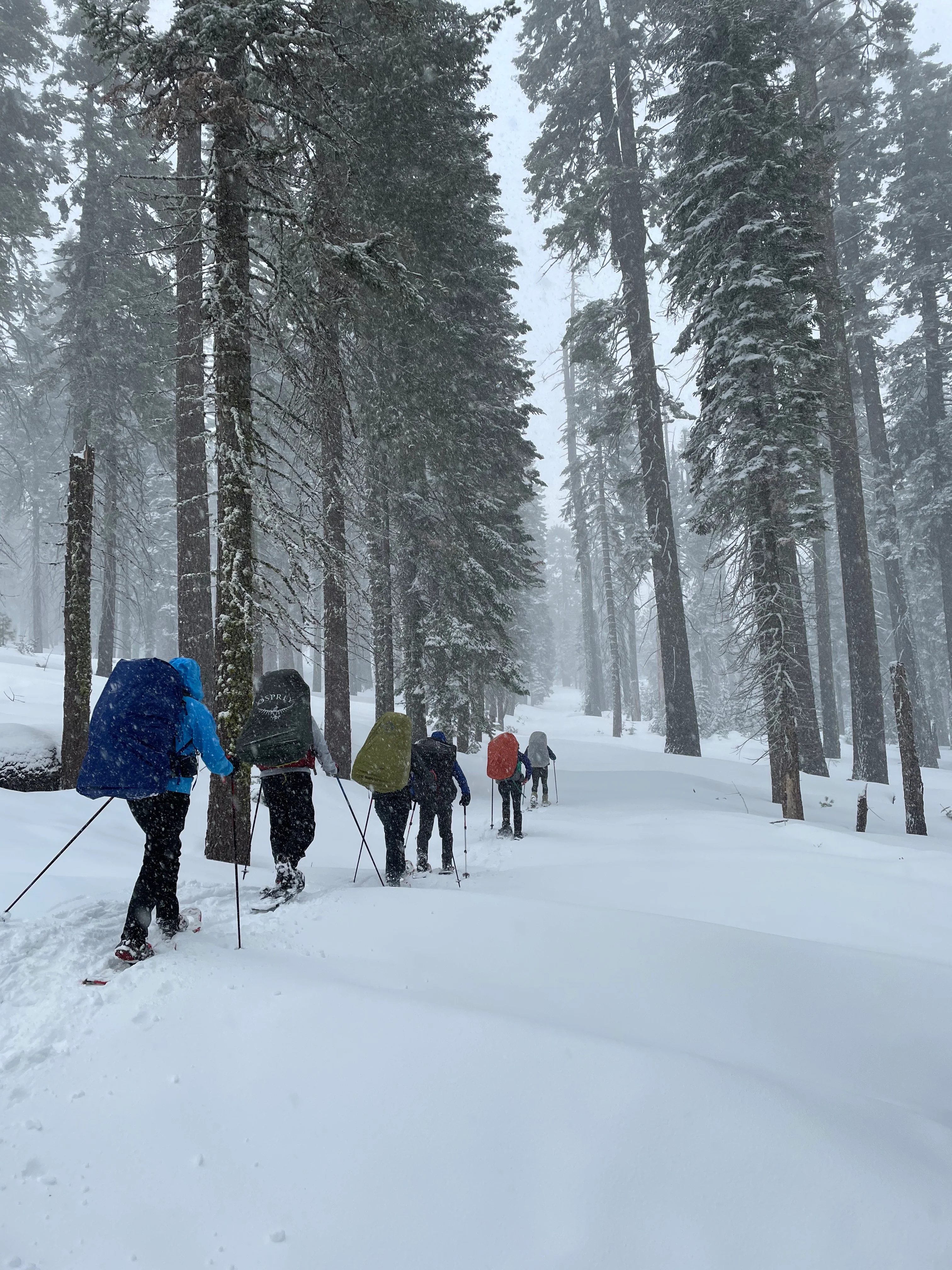 Snowshoeing Yosemite: Valley Overlook - Image 32