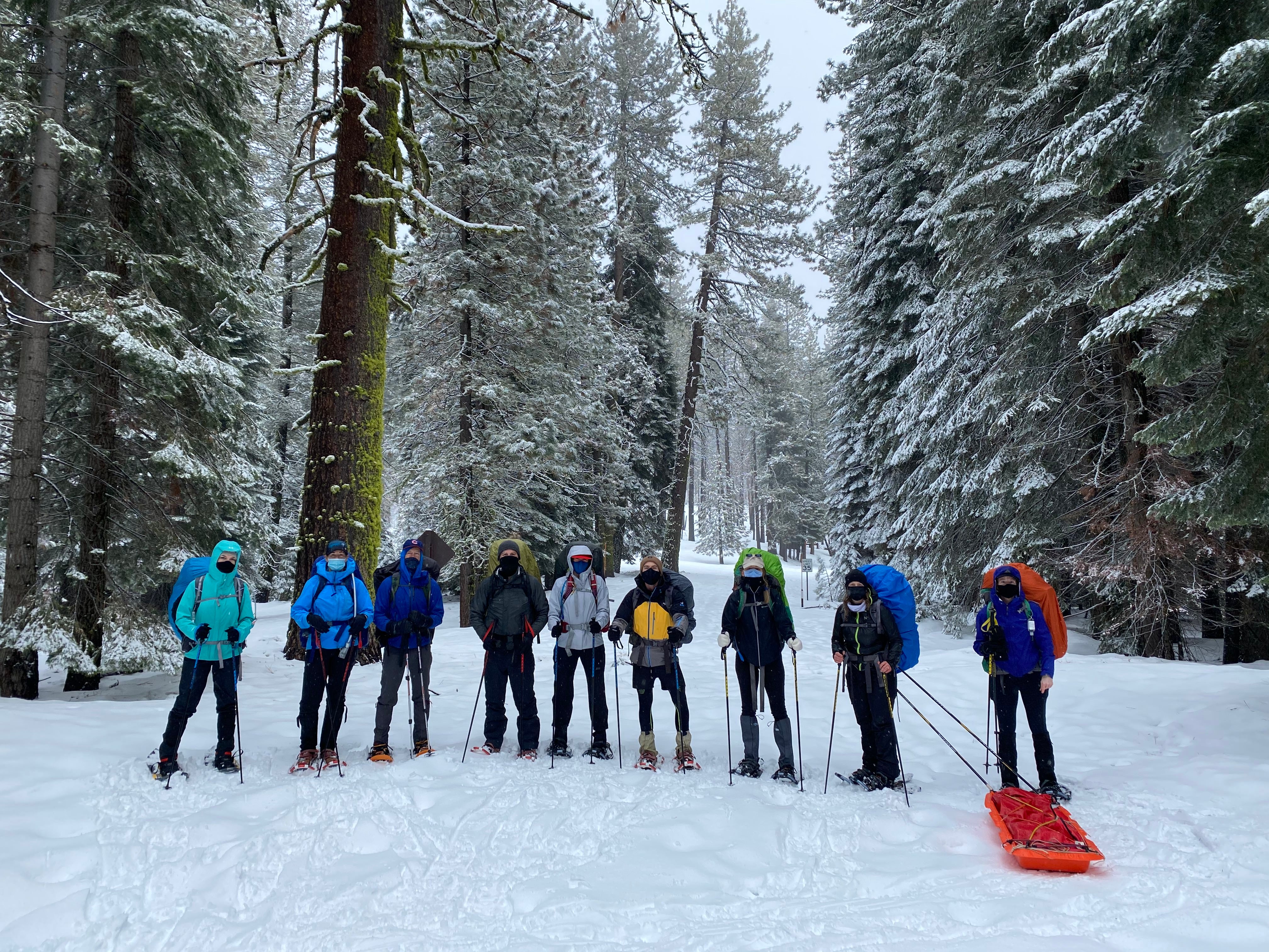 Snowshoeing Yosemite: Valley Overlook - Image 38