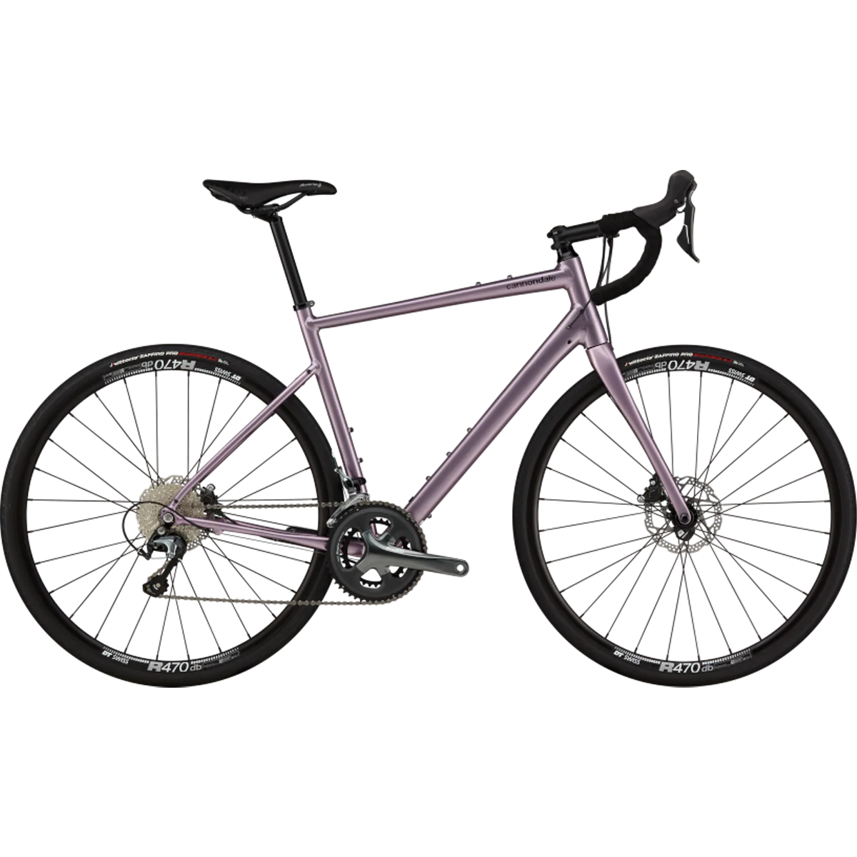 Synapse 2