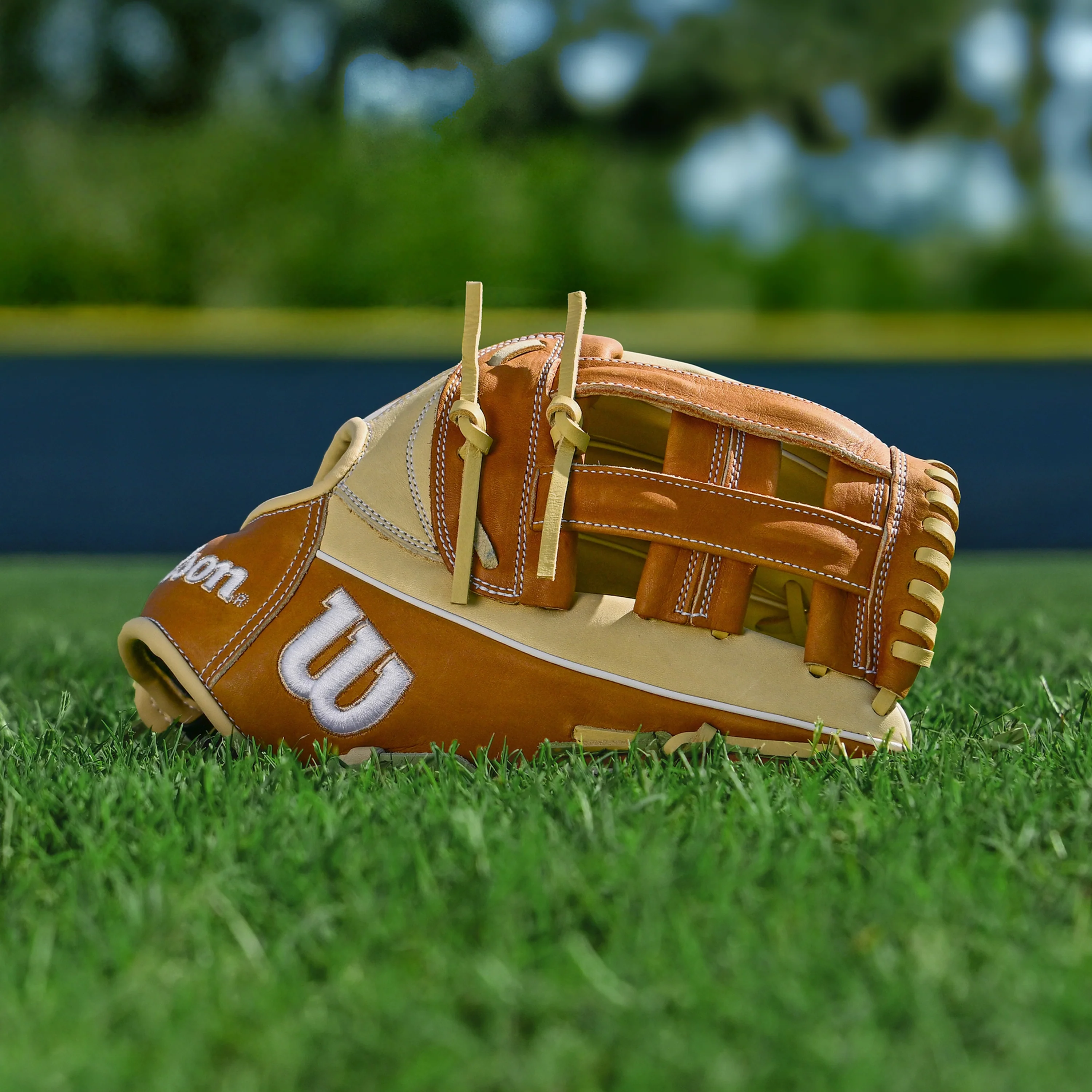 A1000 Outfield 1750 12.5" Dual Post Web - Image 6