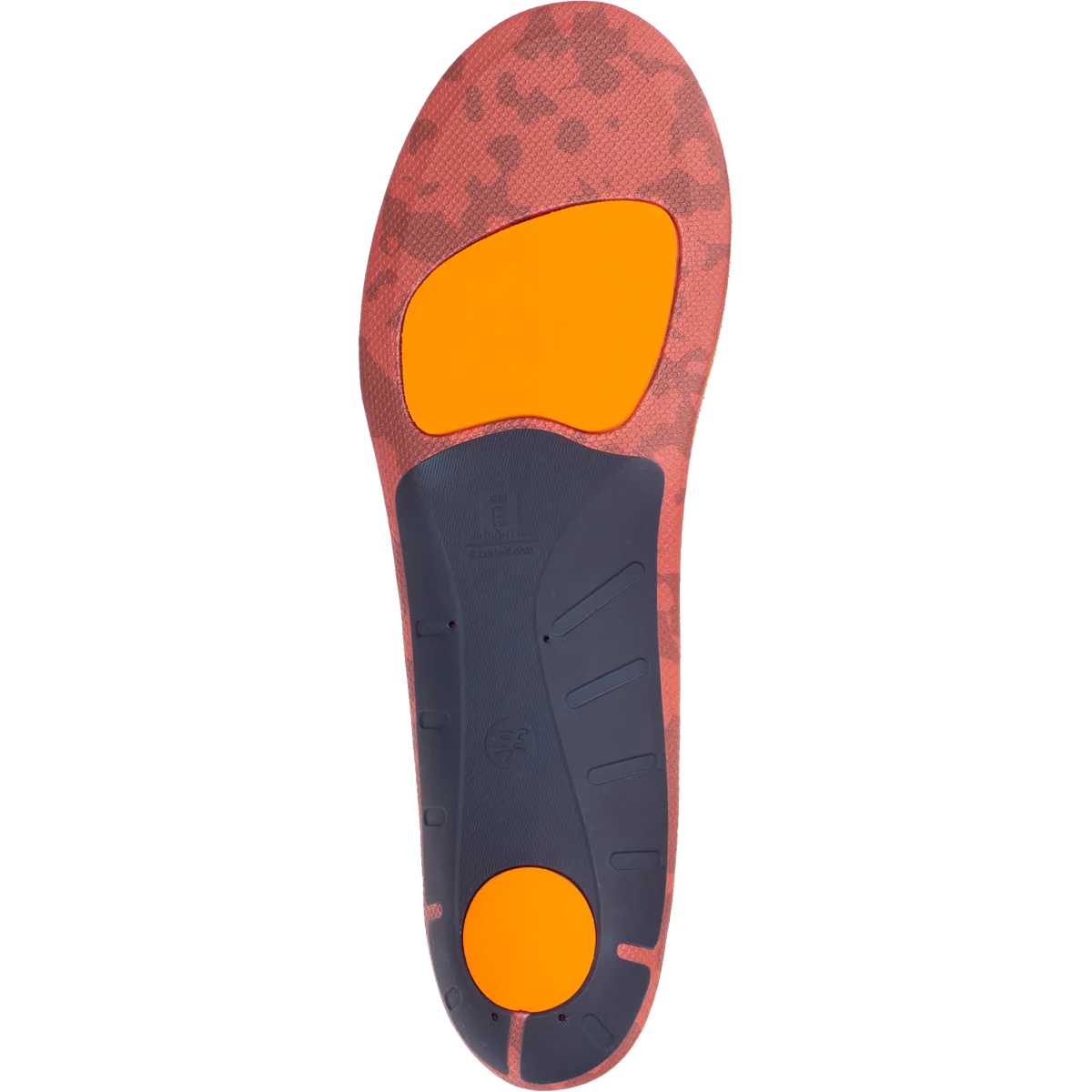 ADAPT Run - Image 3