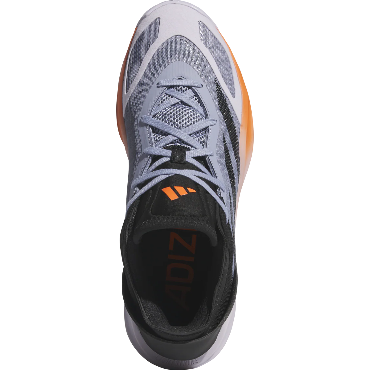 Adizeo Select 2.0 - Image 5