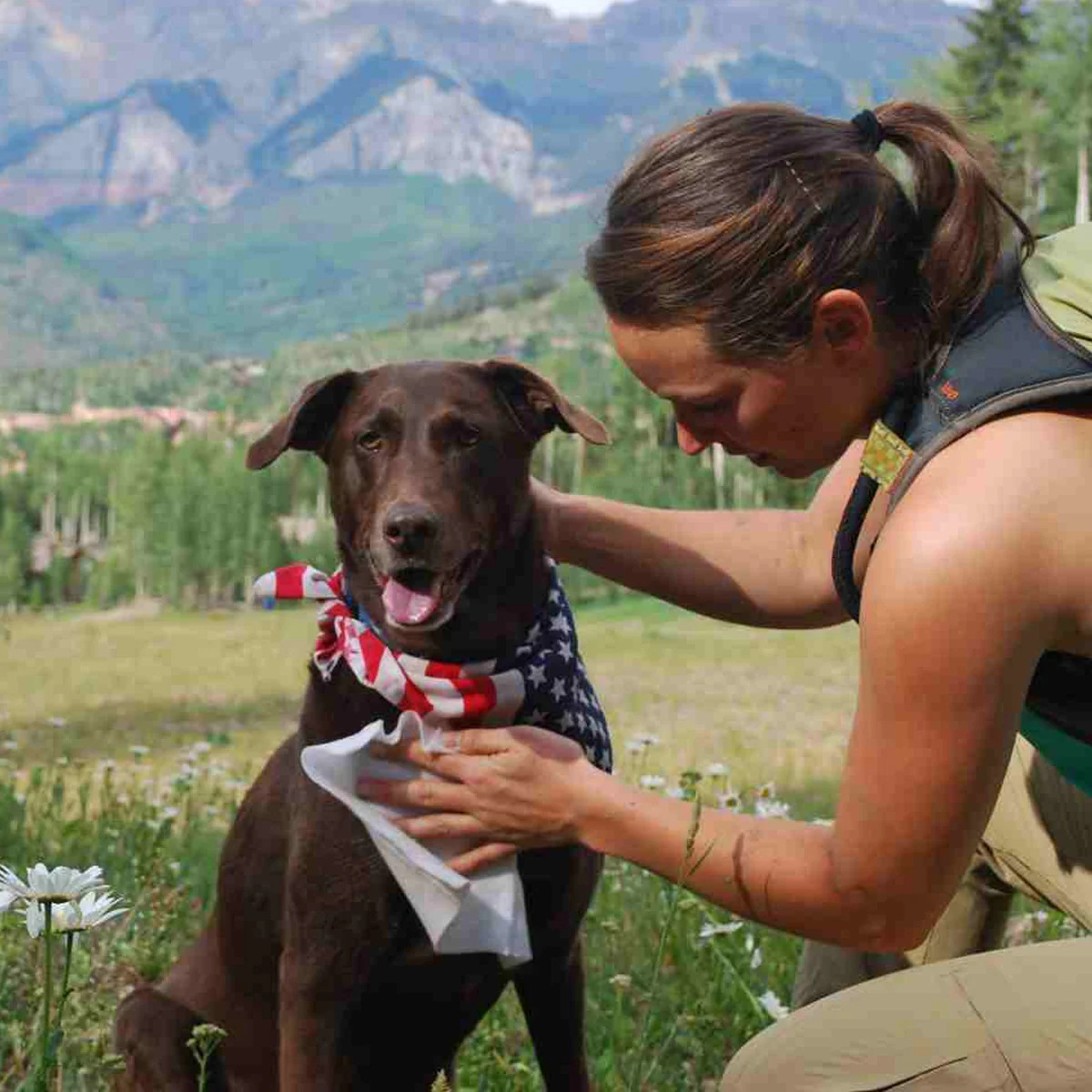 Adventure Dog Wipes - Image 3