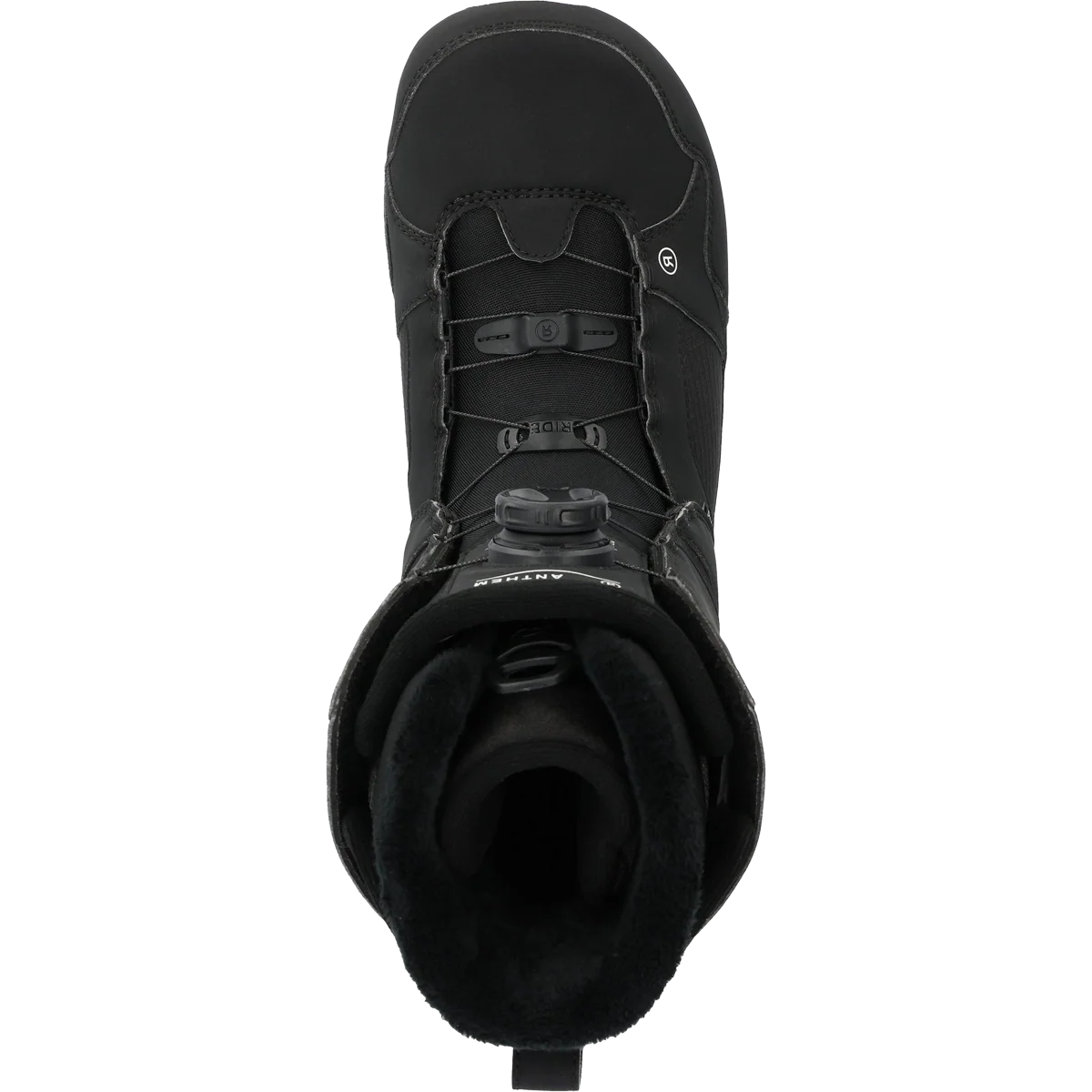 Anthem - Image 5