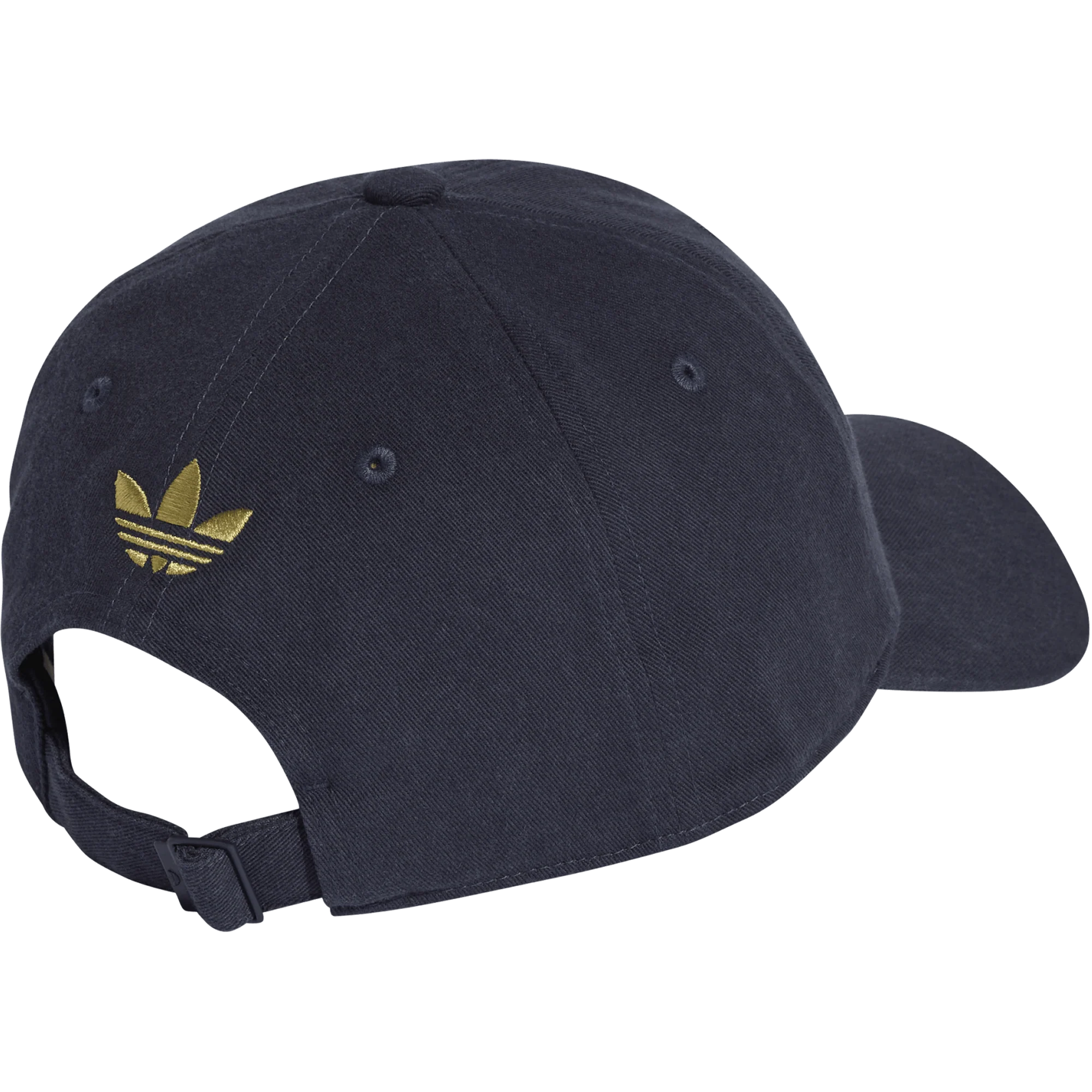 Argentina AFA Dad Cap - Image 2