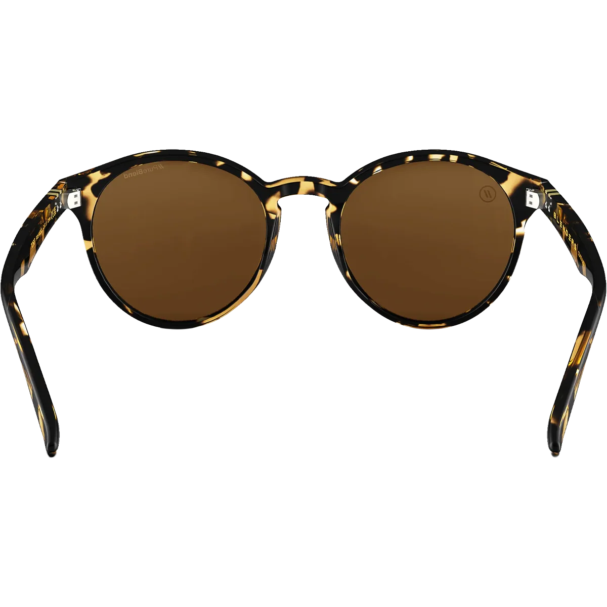 Coastal X2 - Tort - Image 4