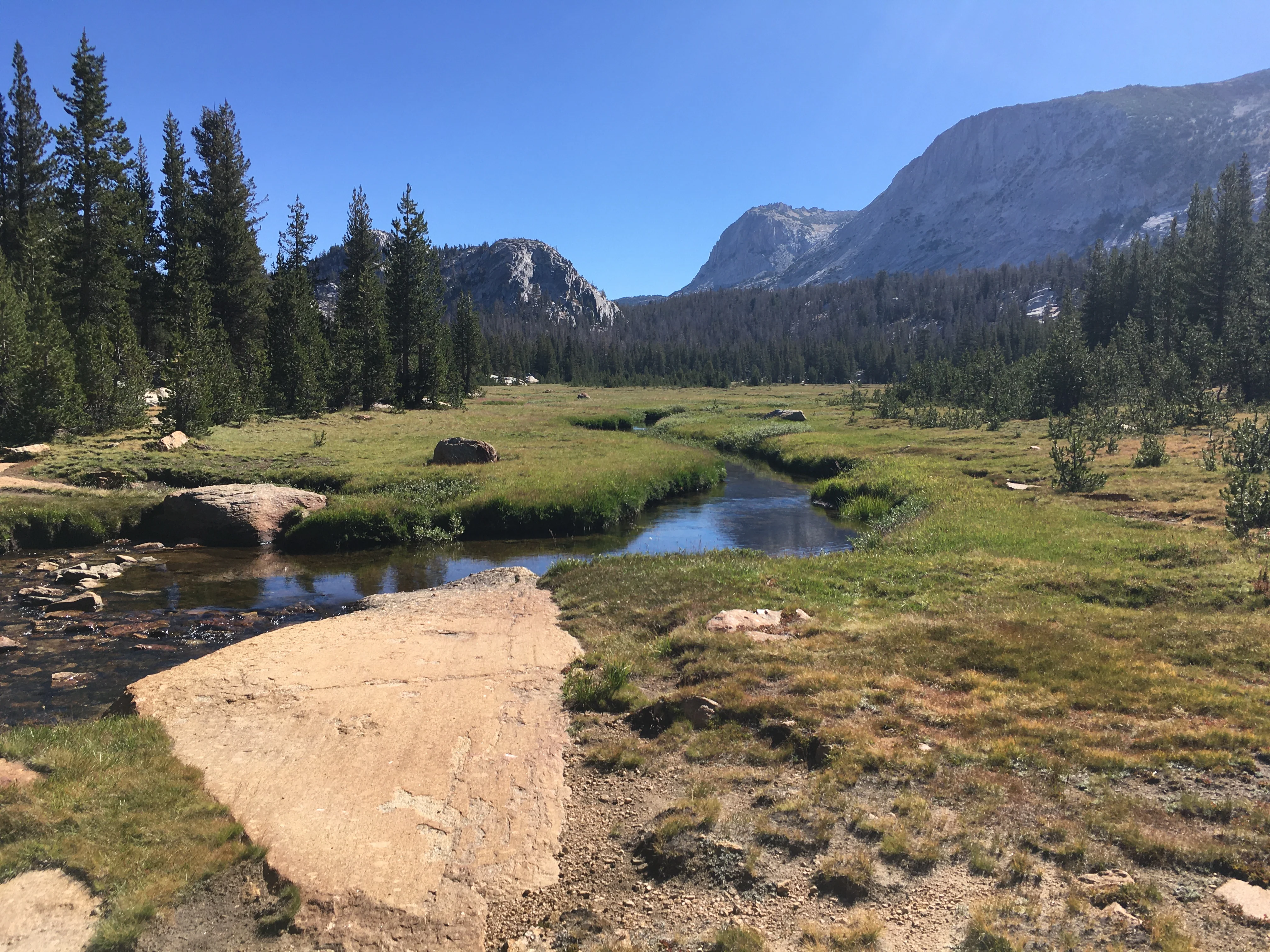 Backpacking Yosemite: Vogelsang - Image 13