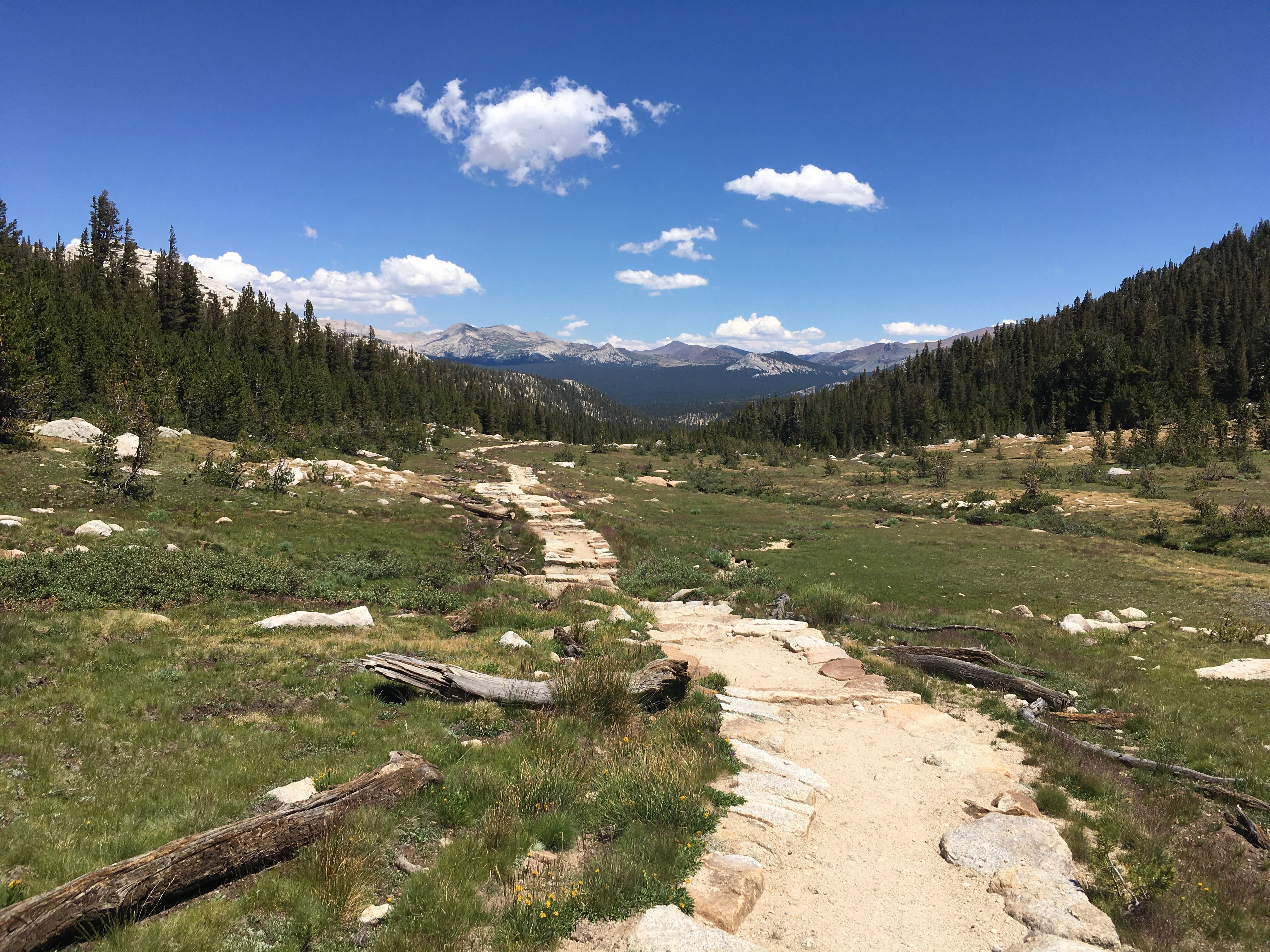 Backpacking Yosemite: Vogelsang - Image 2