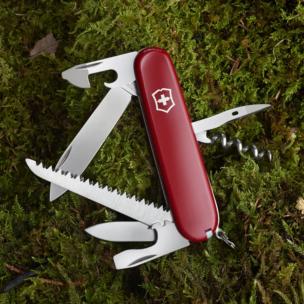 Camper - Image 4