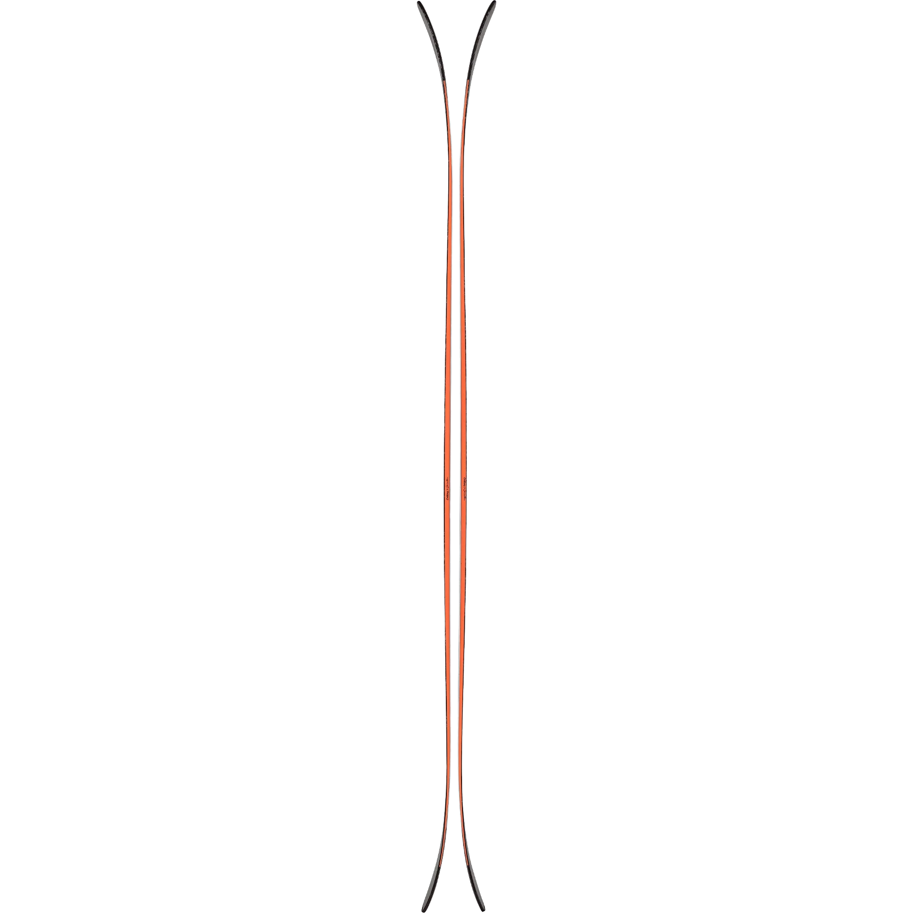 Canvas 100 - Image 3