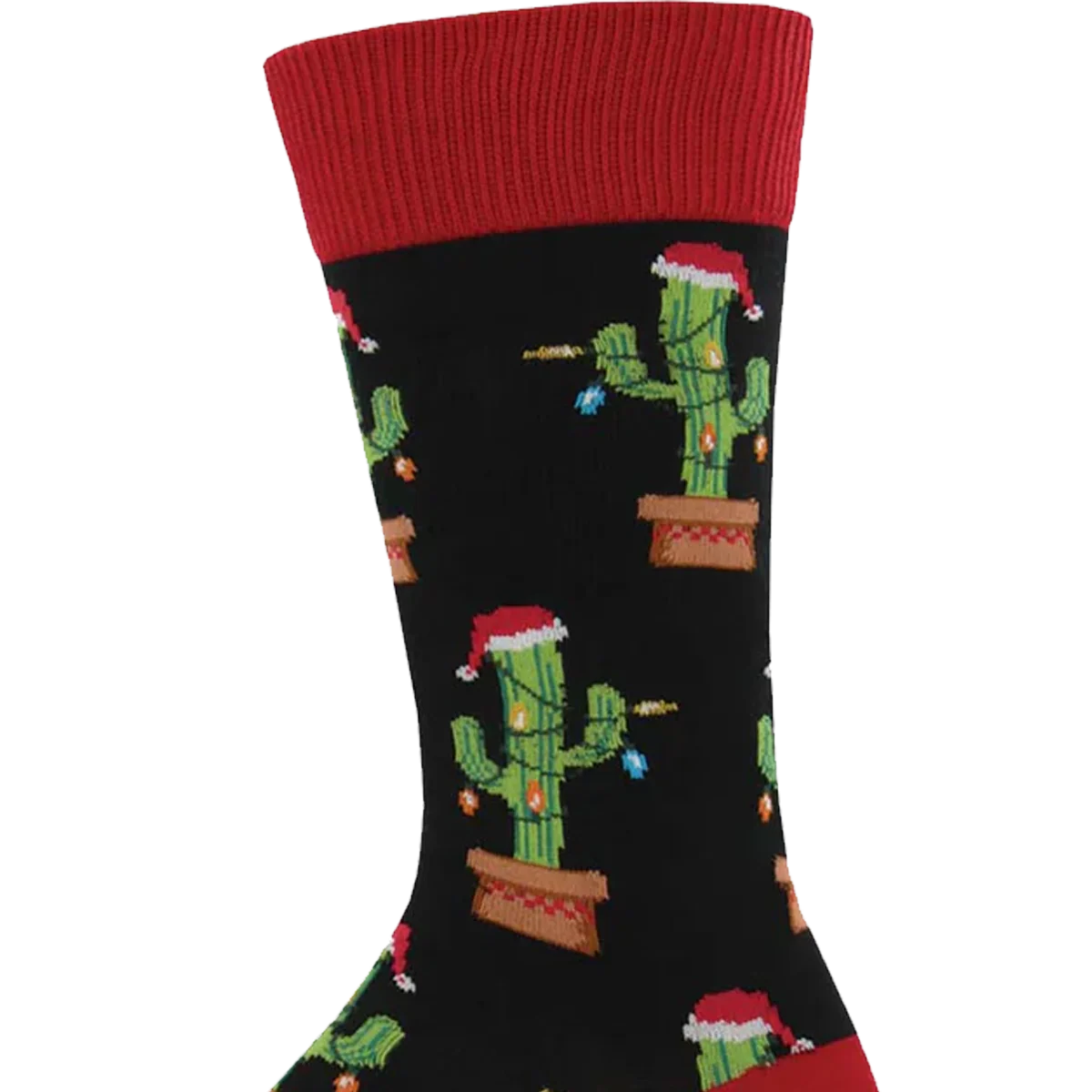 Christmas Cactus - Image 3