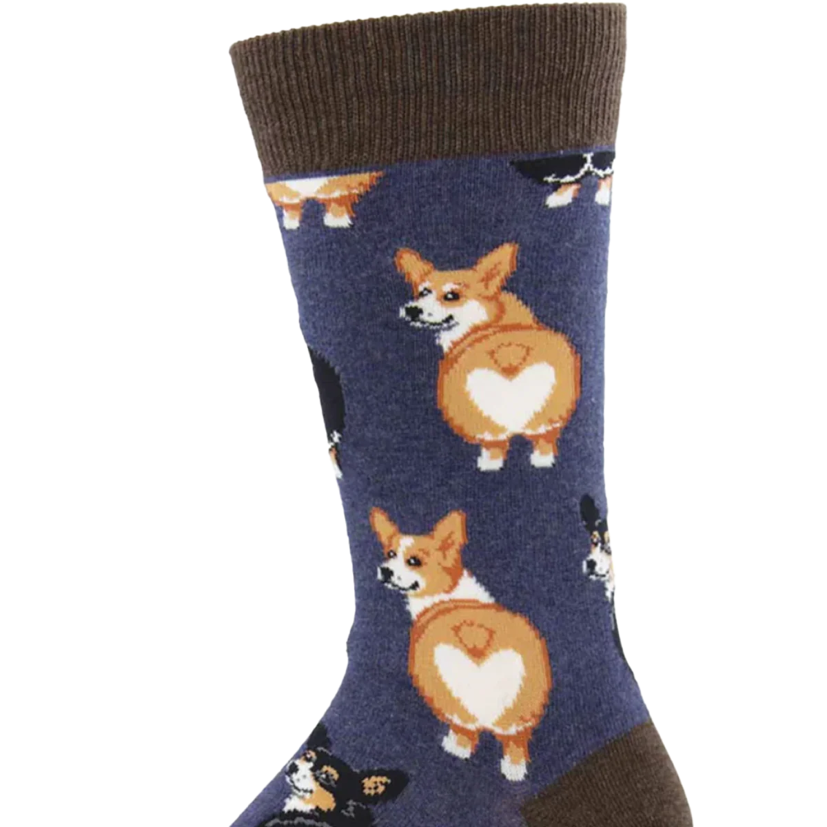 Corgi Butt - Image 3