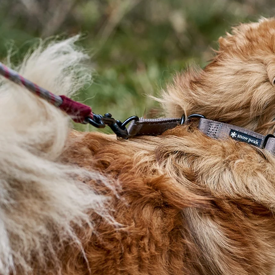 SP Rope Lead S - Image 4
