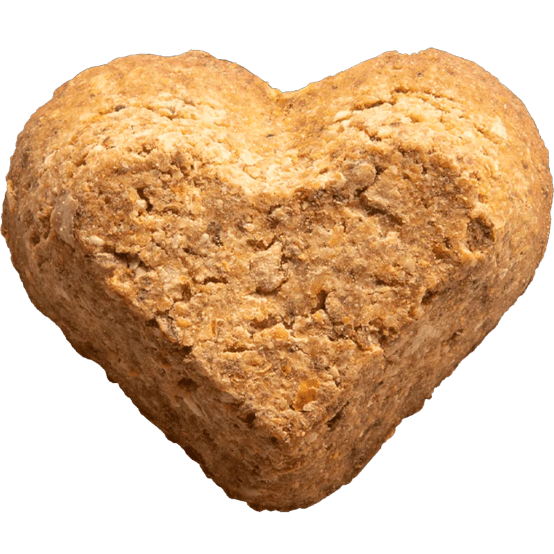 Doghouse Rock Baked Dog Biscuits - Image 3