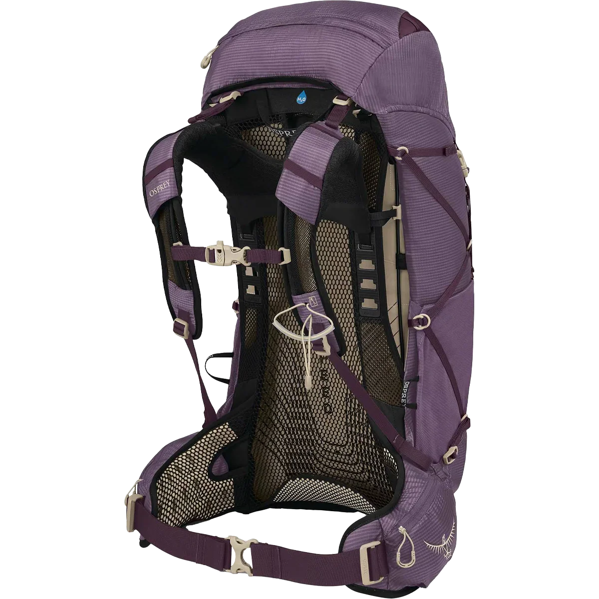 Women's Eja 38 - Image 2