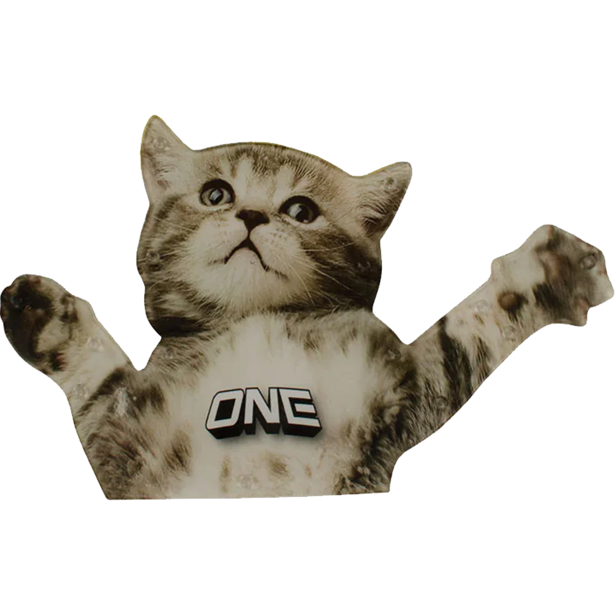 Flying Cat