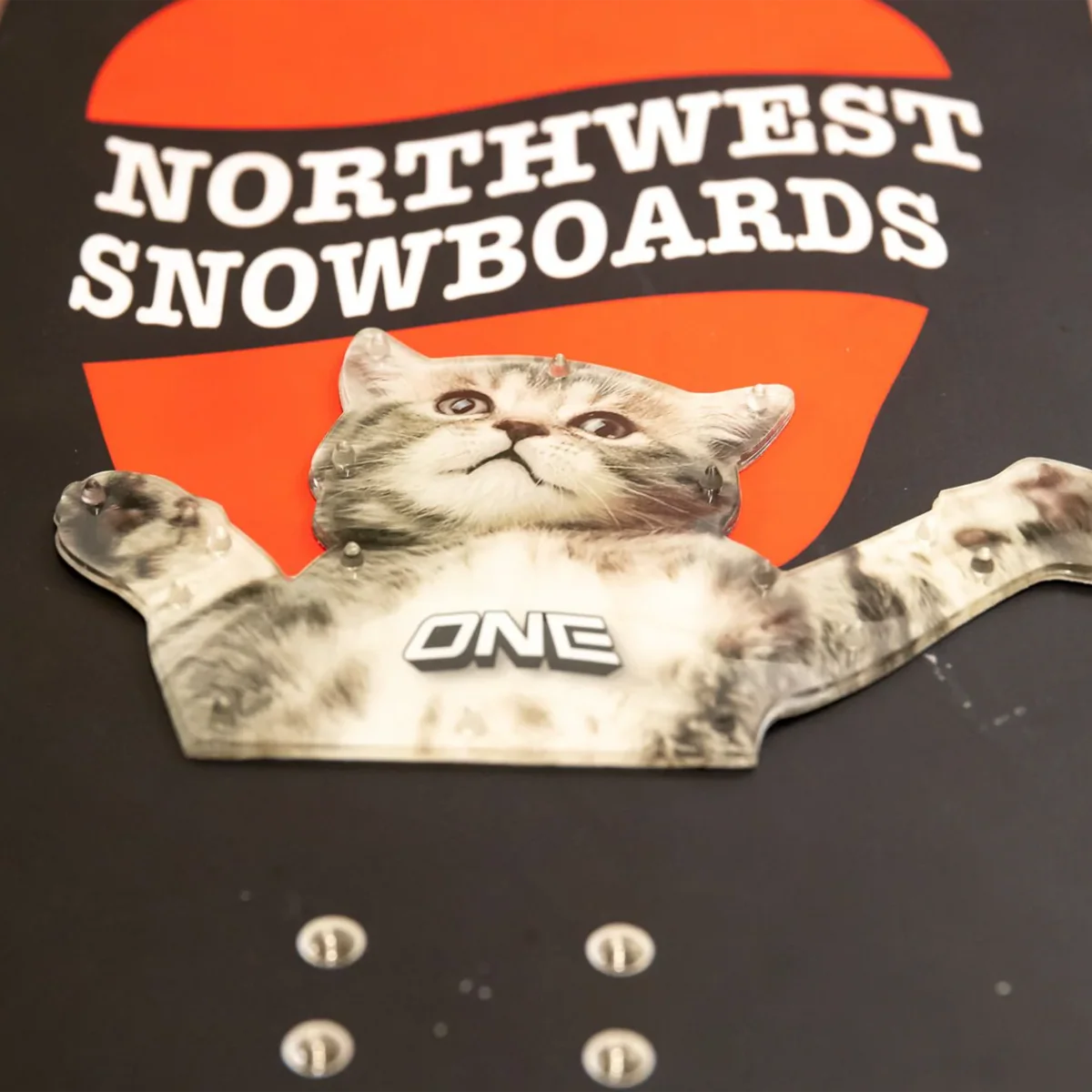 Flying Cat - Image 2