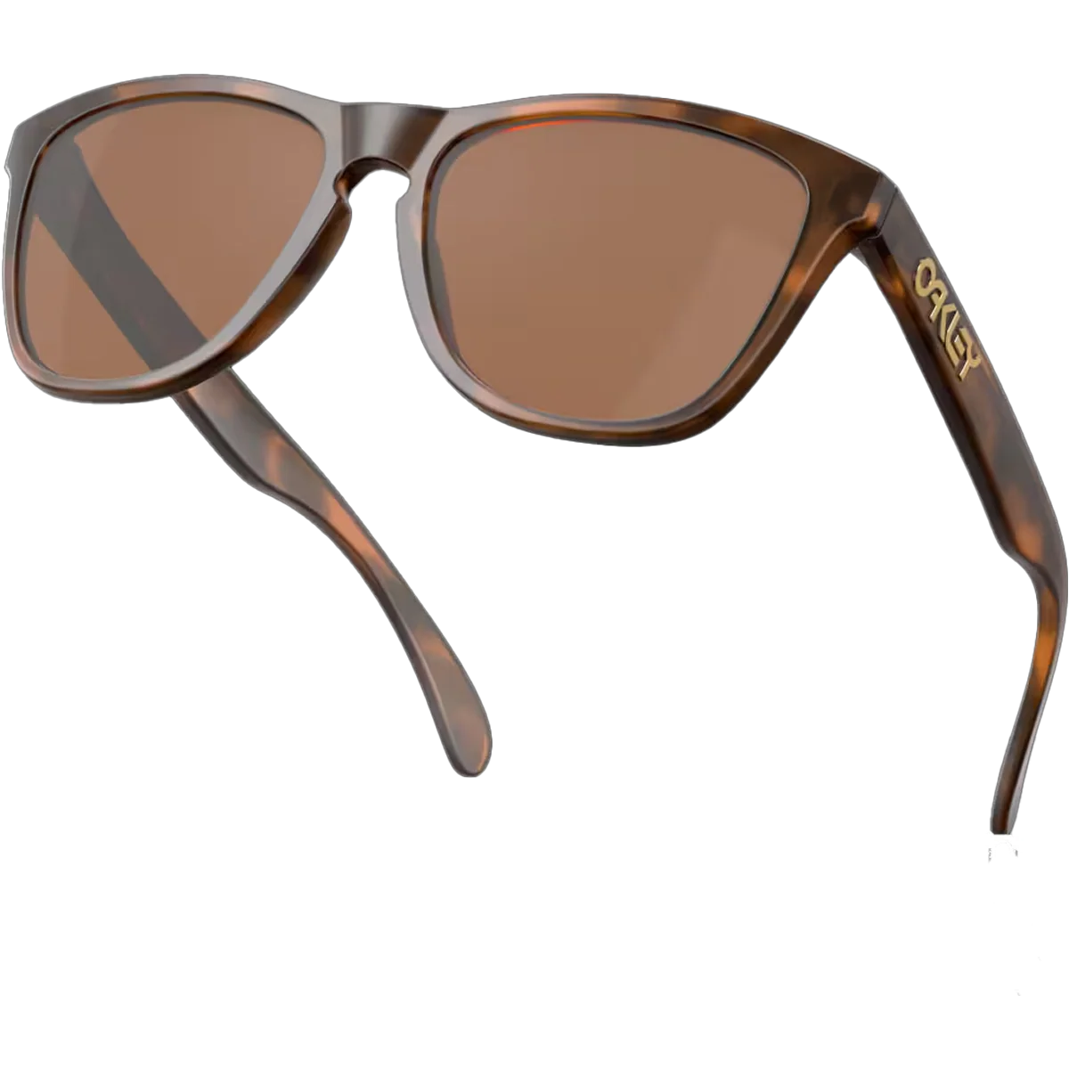 Frogskins - Matte Tortoise/Prizm Tungsten - Image 4