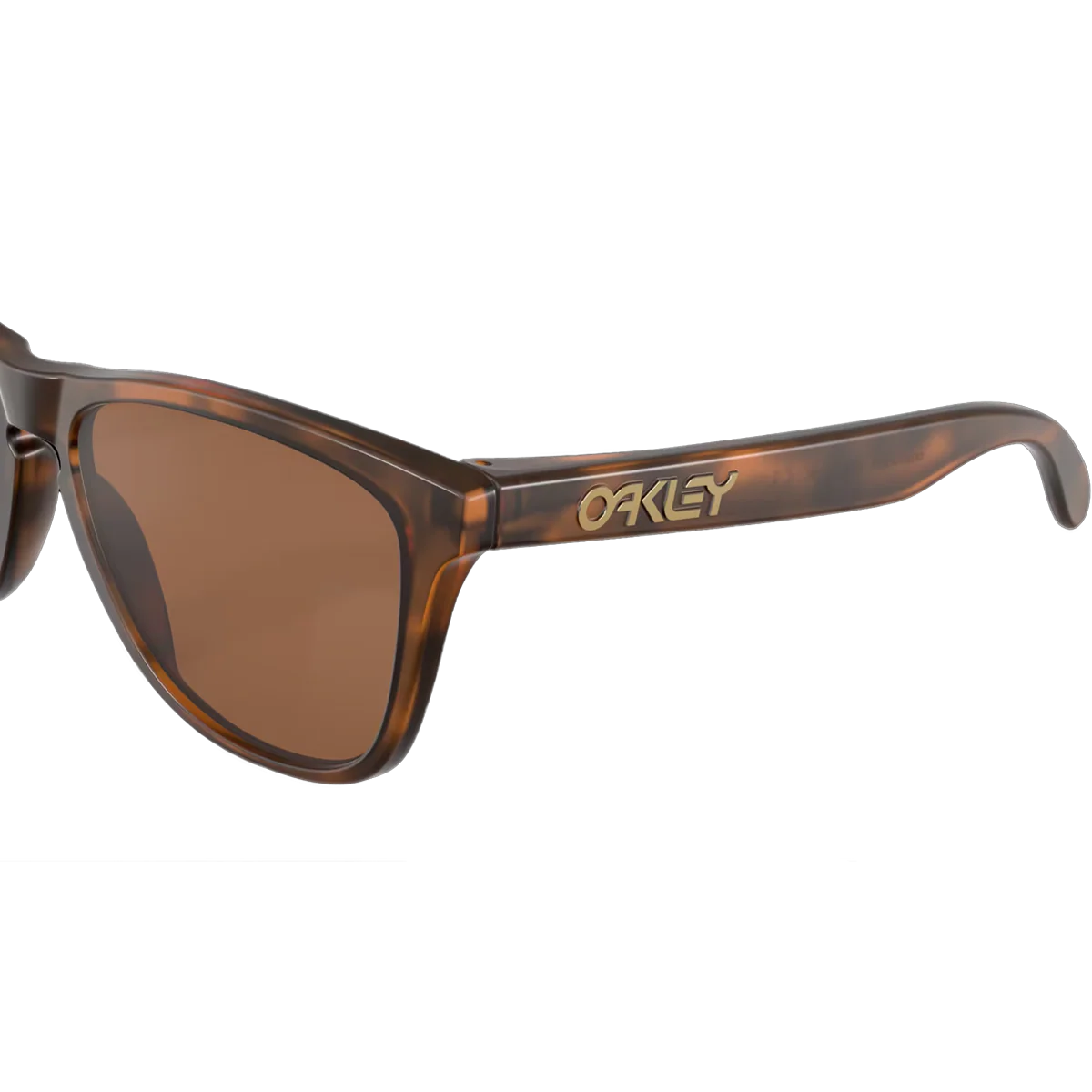 Frogskins - Matte Tortoise/Prizm Tungsten - Image 6
