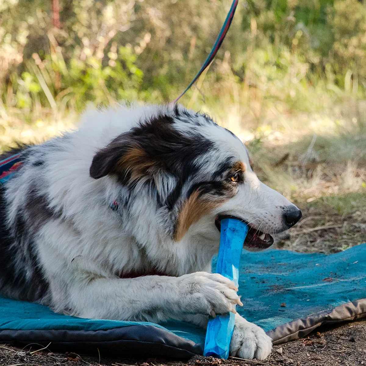 Gnawt-a-Stick Toy - Image 2