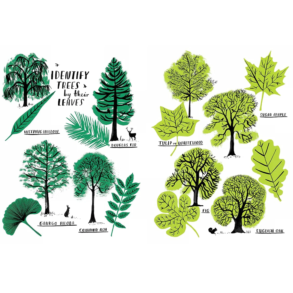 Hello Nature Activity Book - Image 2