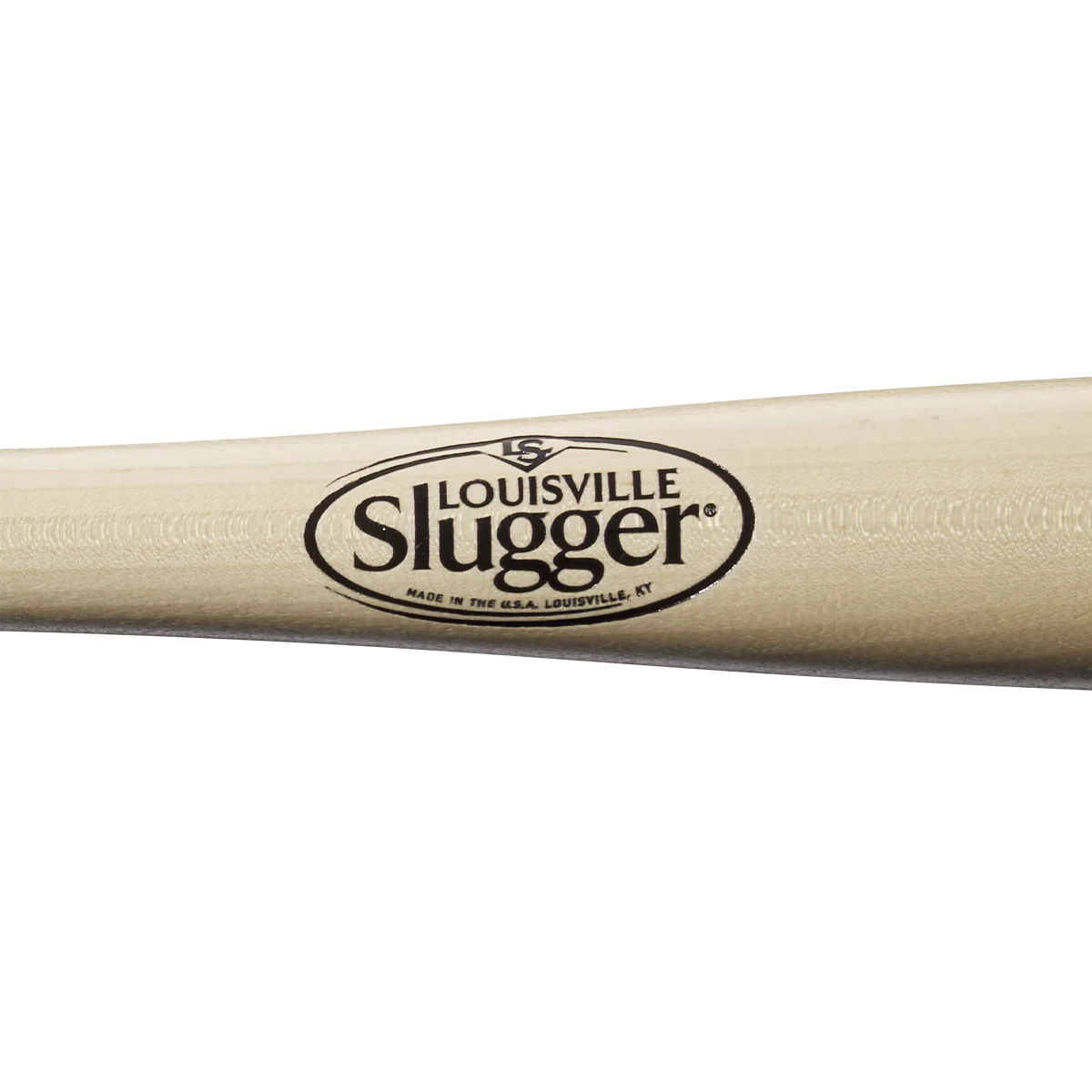 K100 Fungo - Image 2