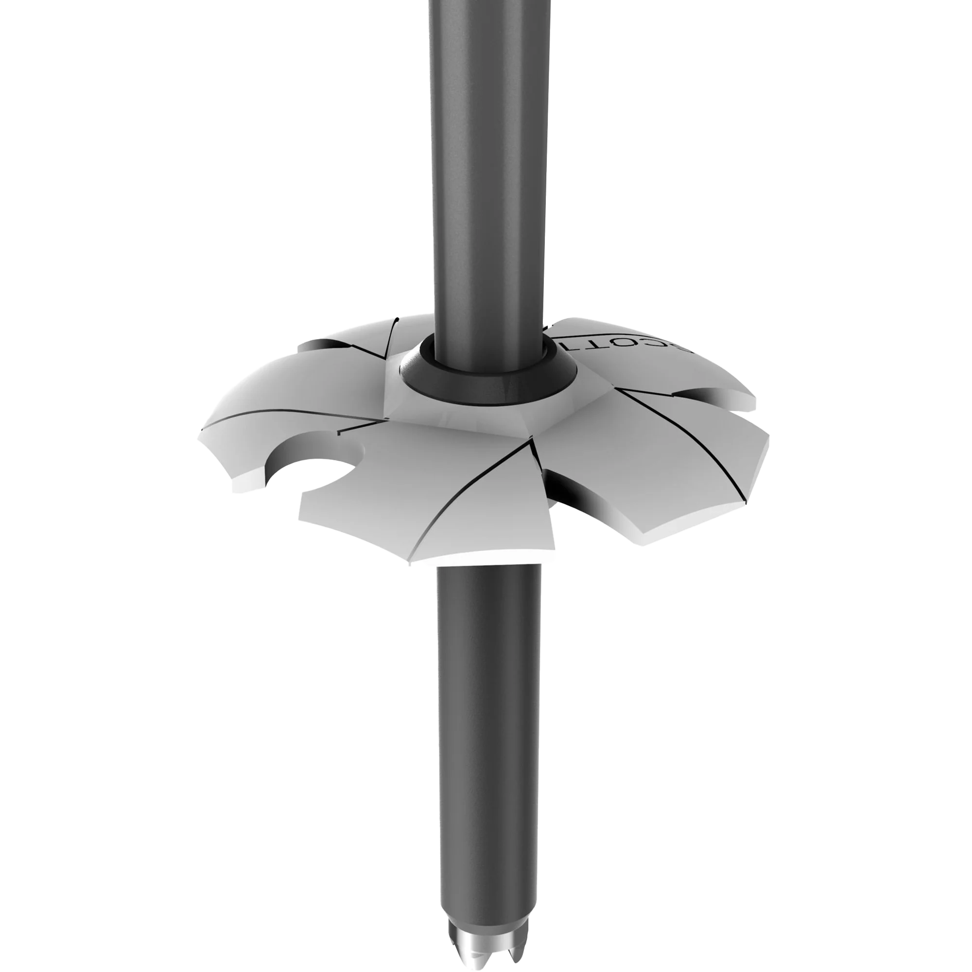 Koko Pole - Image 7