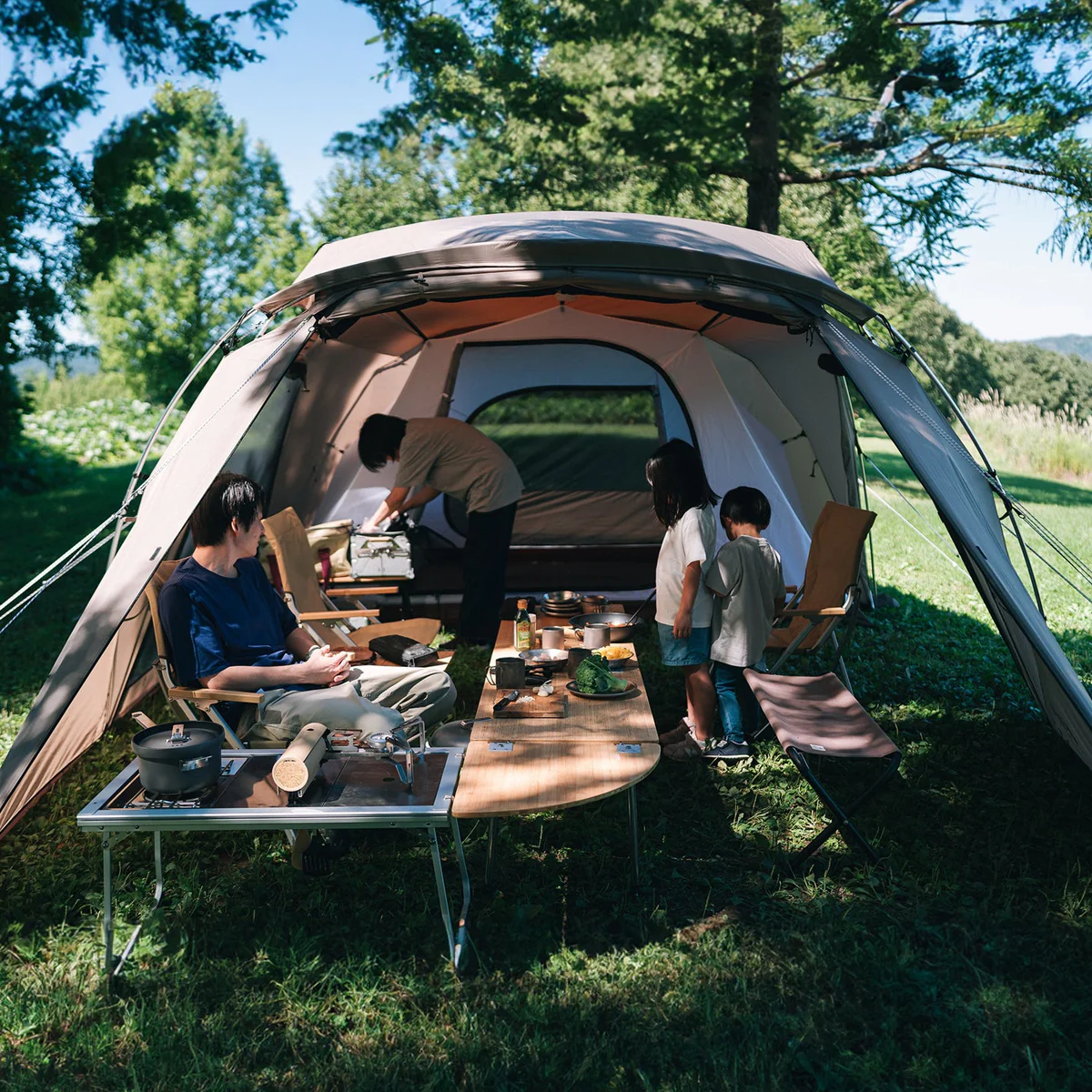 Land Nest Shelter - Image 3