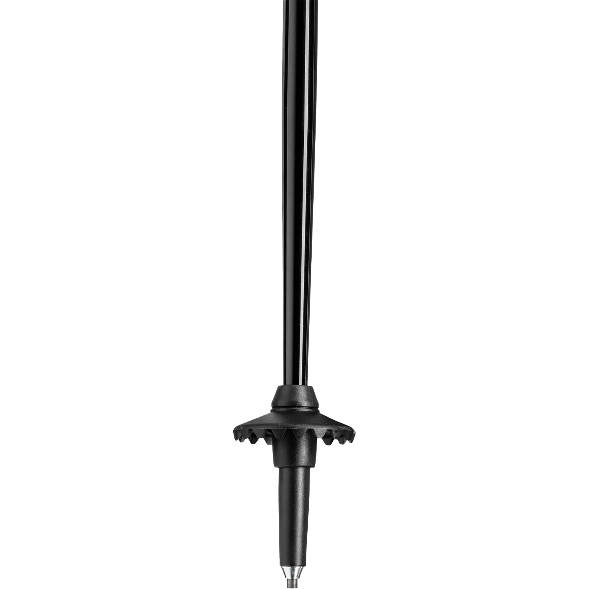 Legacy FX TA - Image 6