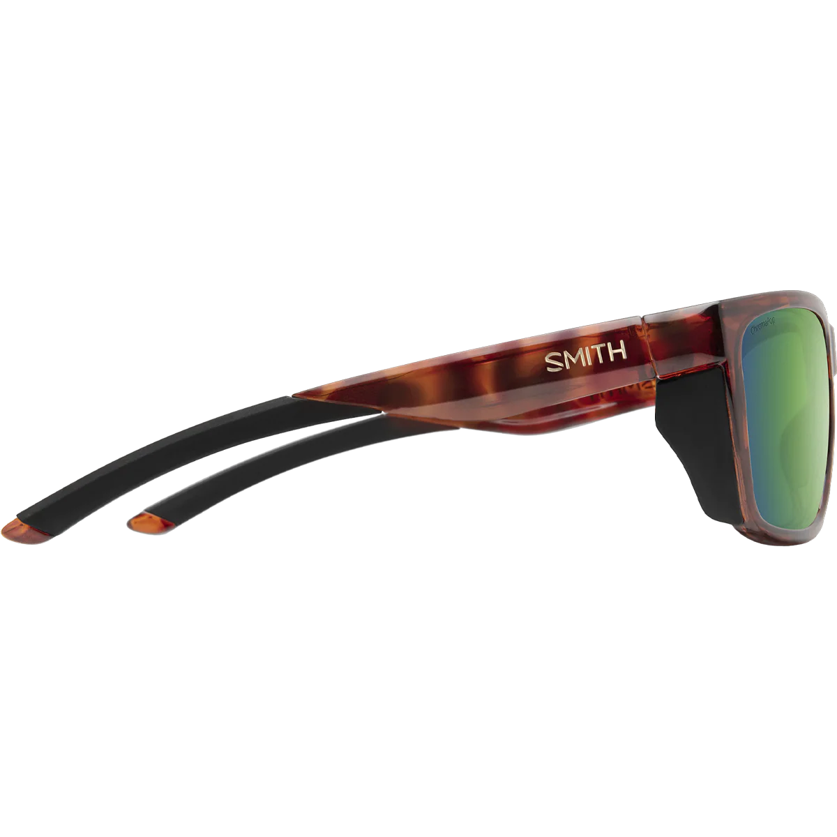 Longfin - Image 3