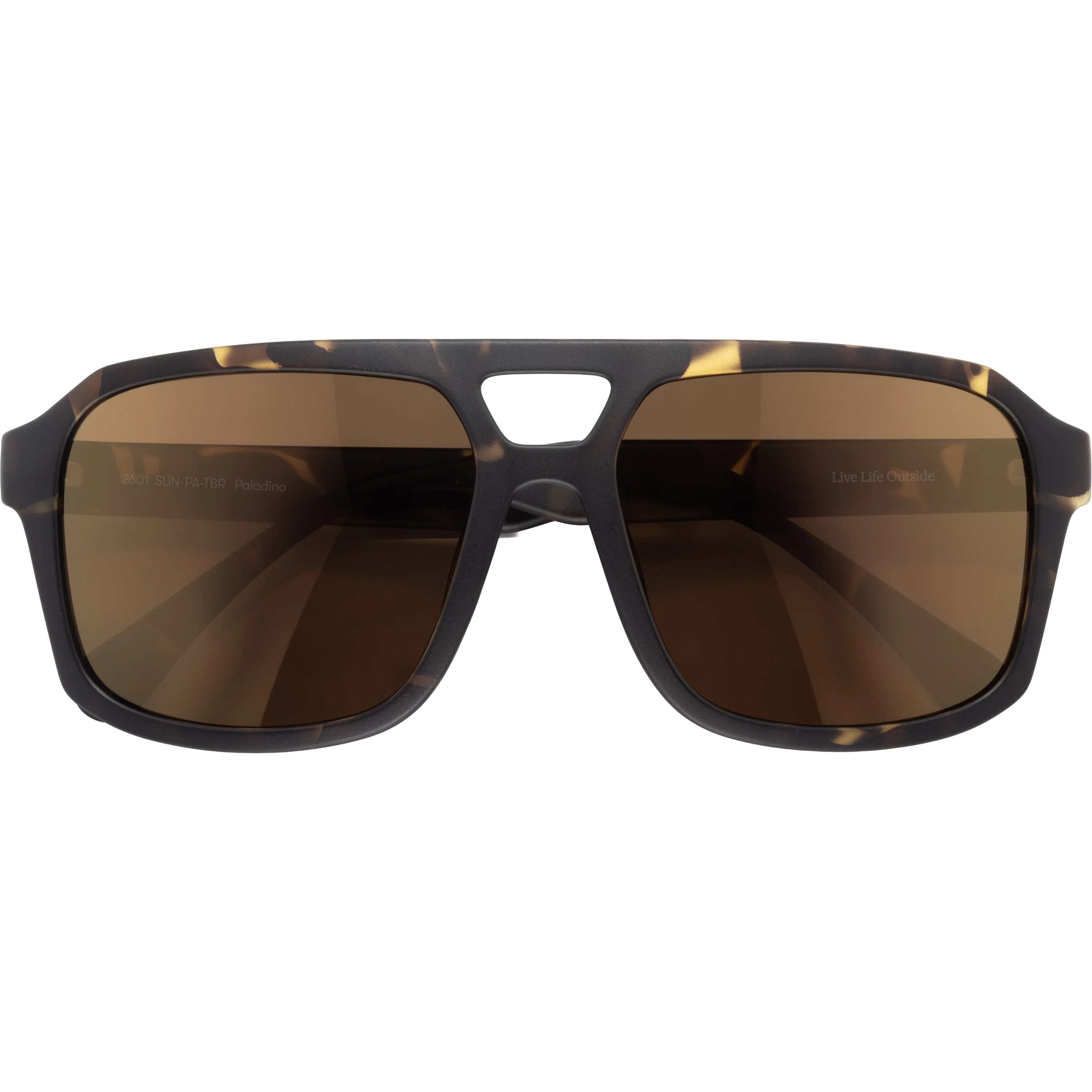 Paladino Tortoise Bronze
