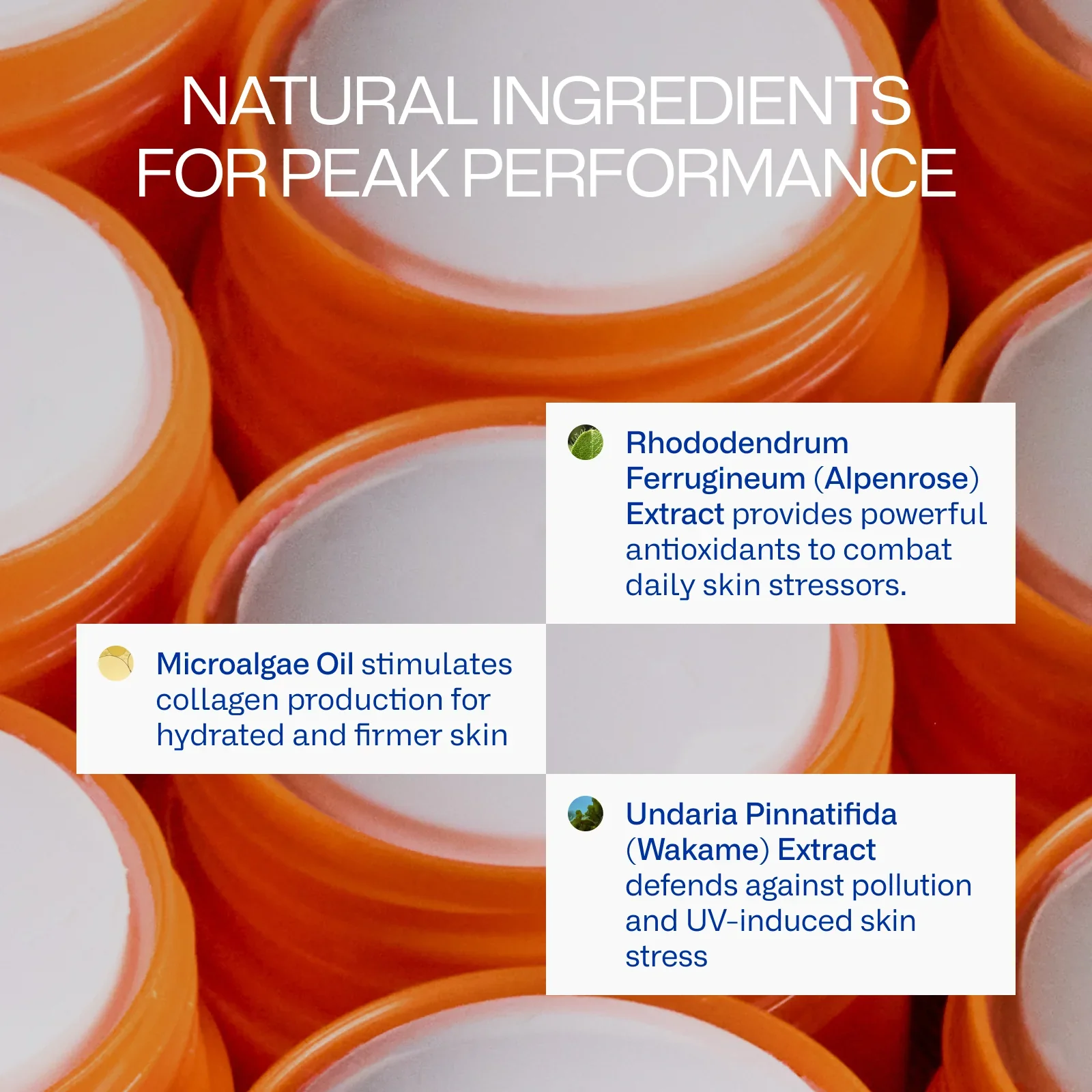 Peak Performance Sun Stick SPF 50 - Image 6