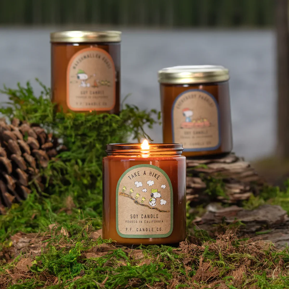 Peanut Take a Hike 7.2oz Candle - Image 2