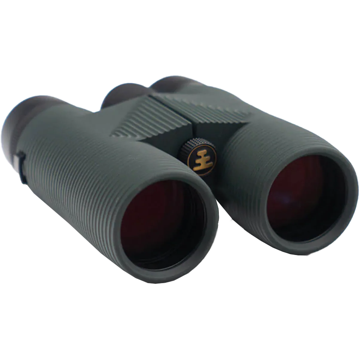 Pro Issue 8x42 Binoculars