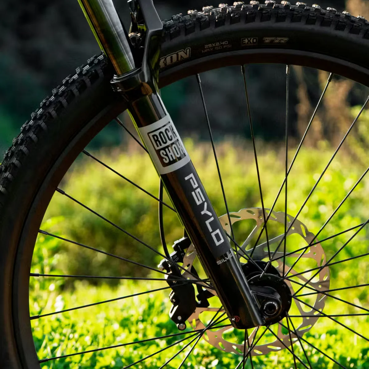 Ramblas ADV eMTB - Image 11