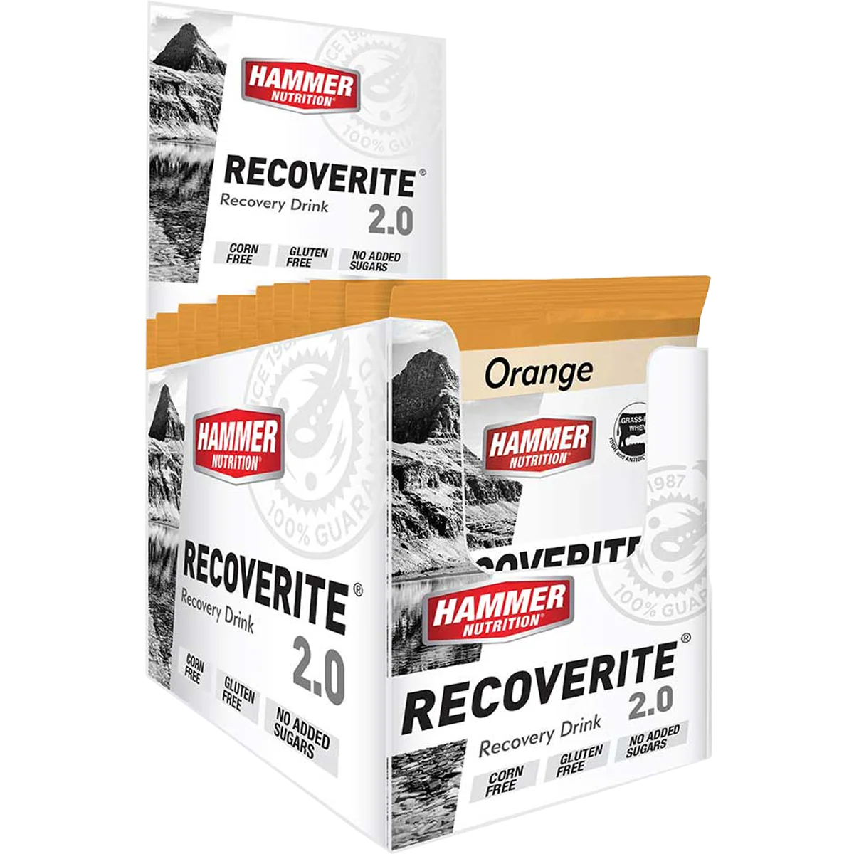 Recoverite 2.0 Single Serving - Image 10