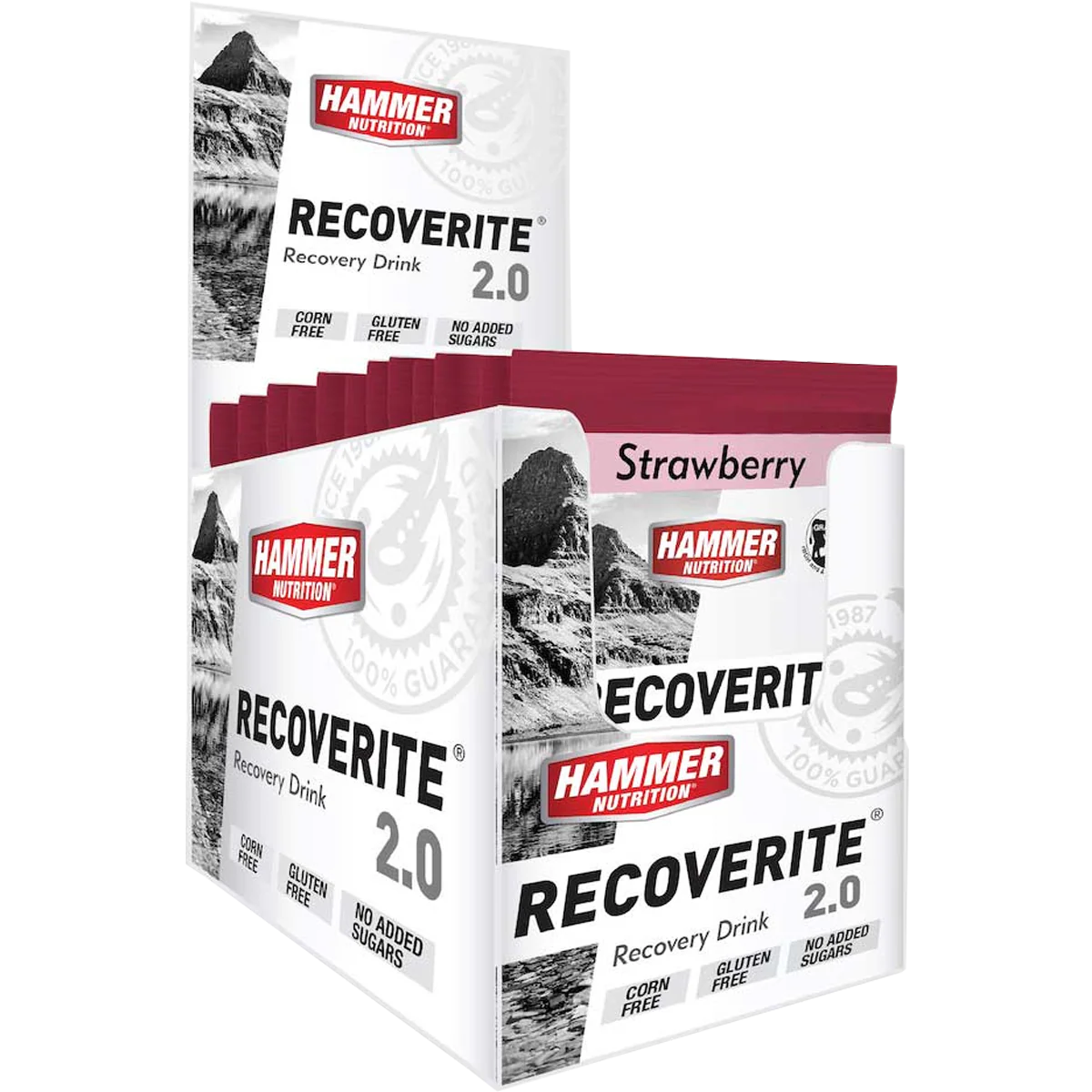 Recoverite 2.0 Single Serving - Image 8