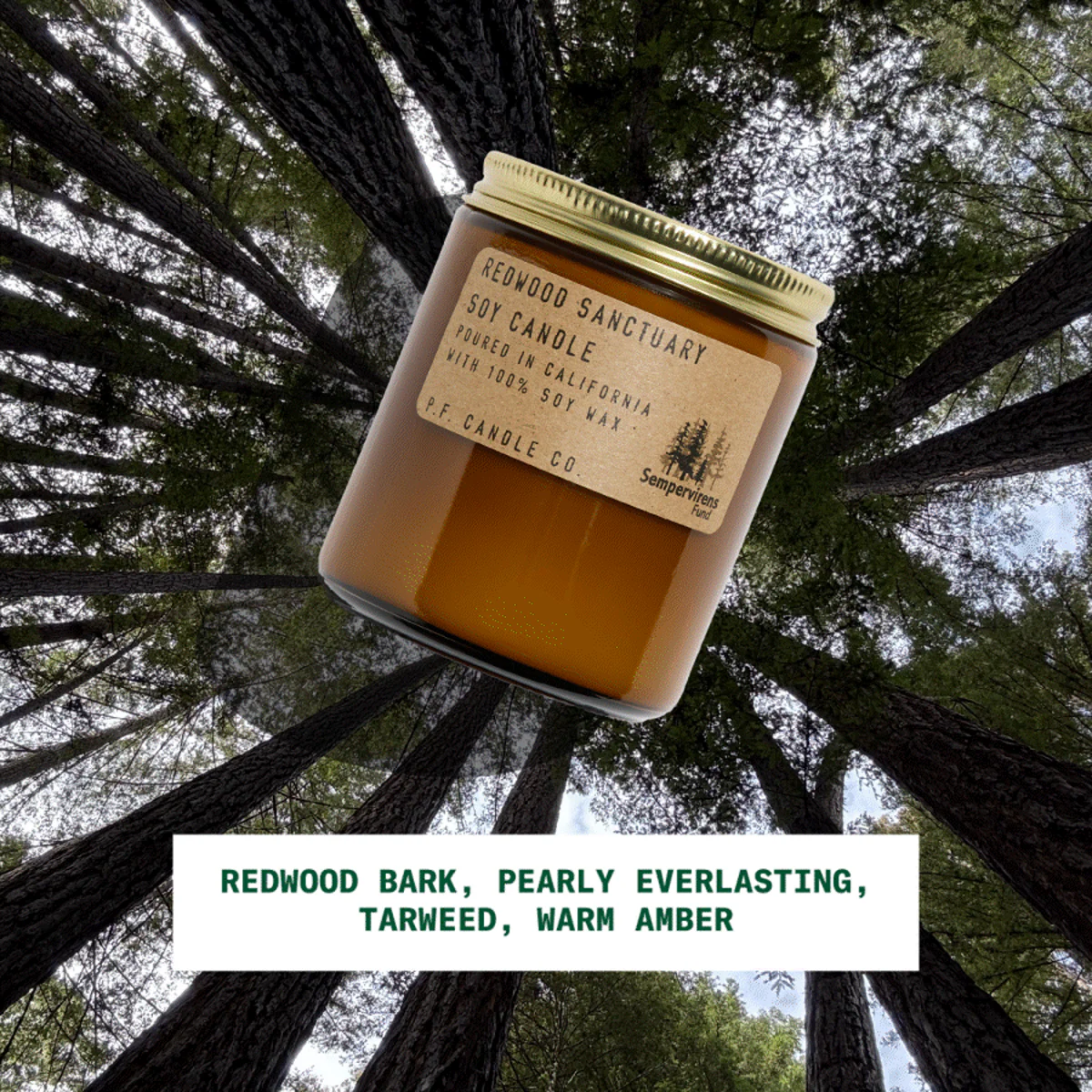 Redwood Sempervirens Fund 7.2oz - Image 2