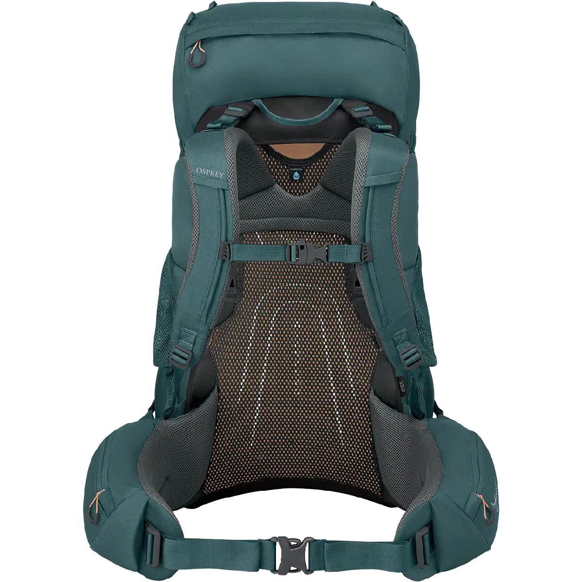 Women's Renn 65L - Image 4