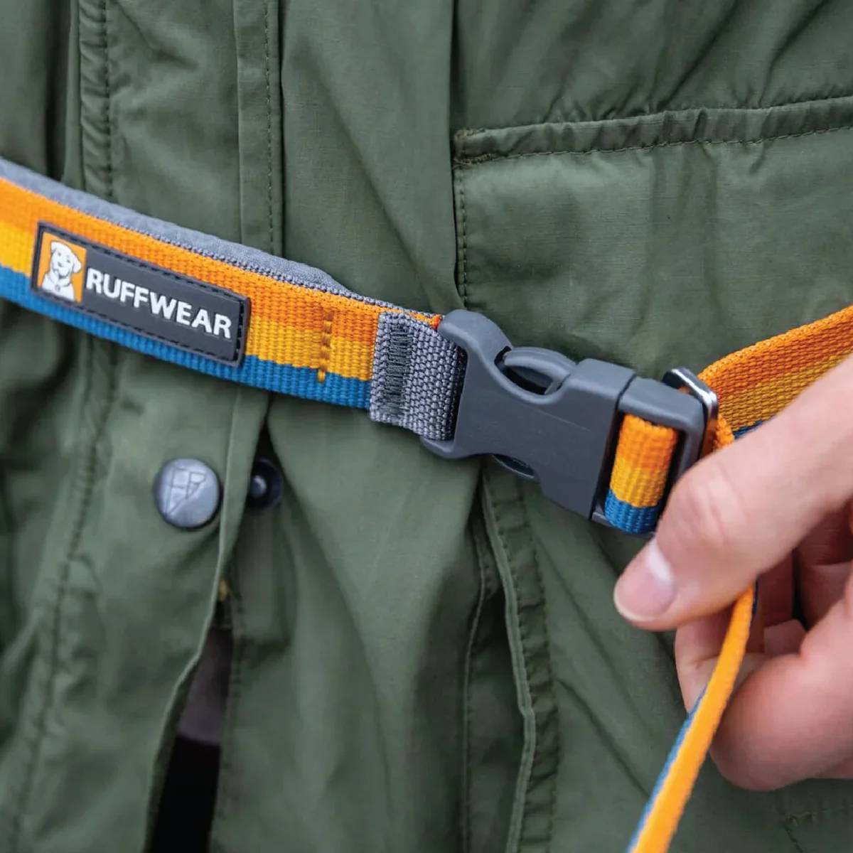Roamer Bungee Leash - Image 5