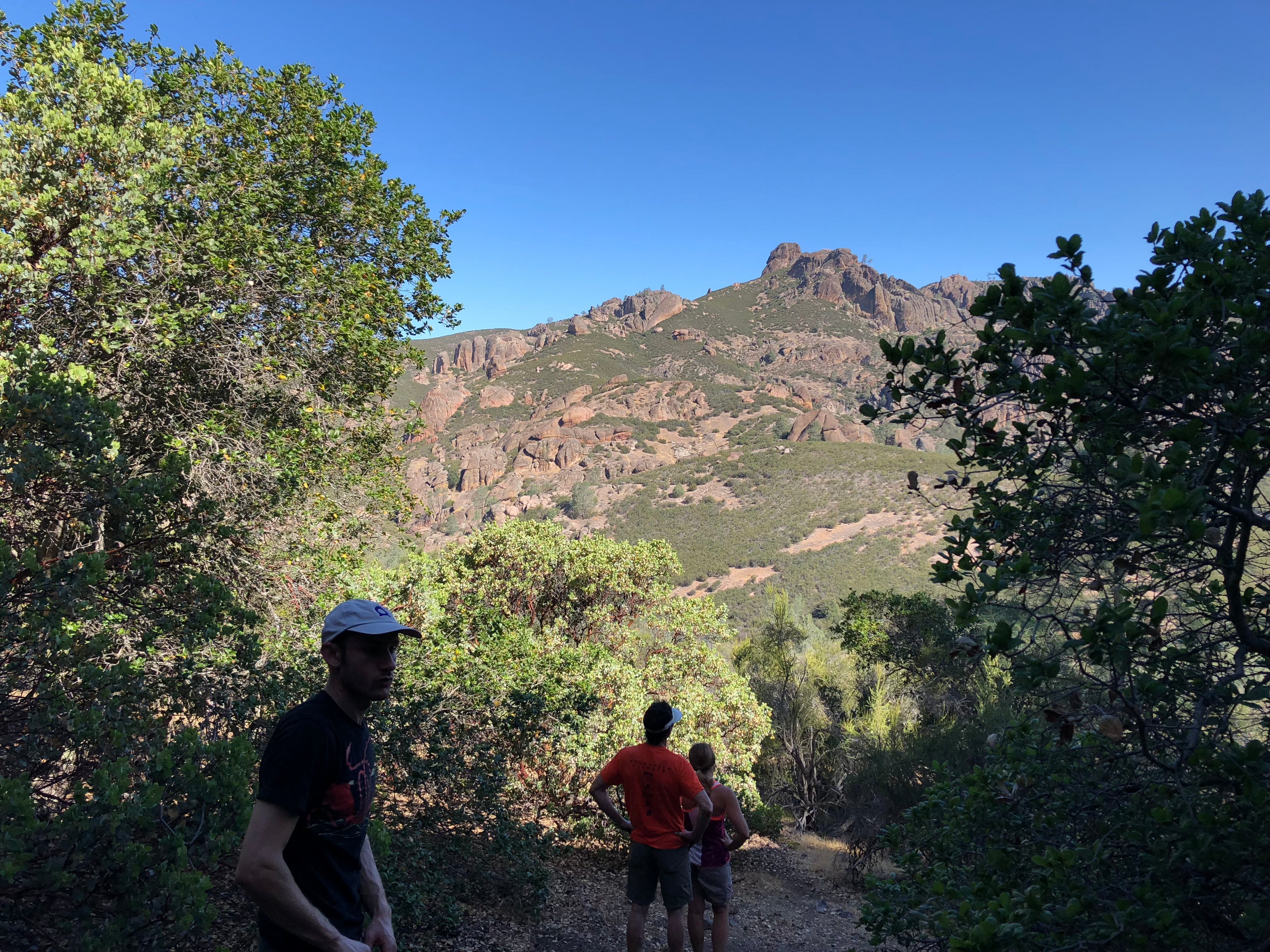 Pinnacles Climbing Weekend - Image 38