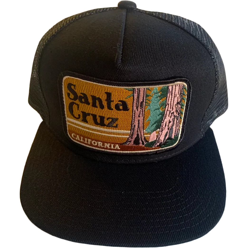 Santa Cruz Trucker
