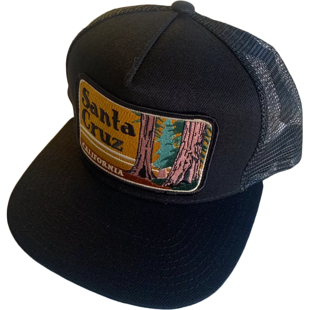 Santa Cruz Trucker - Image 2