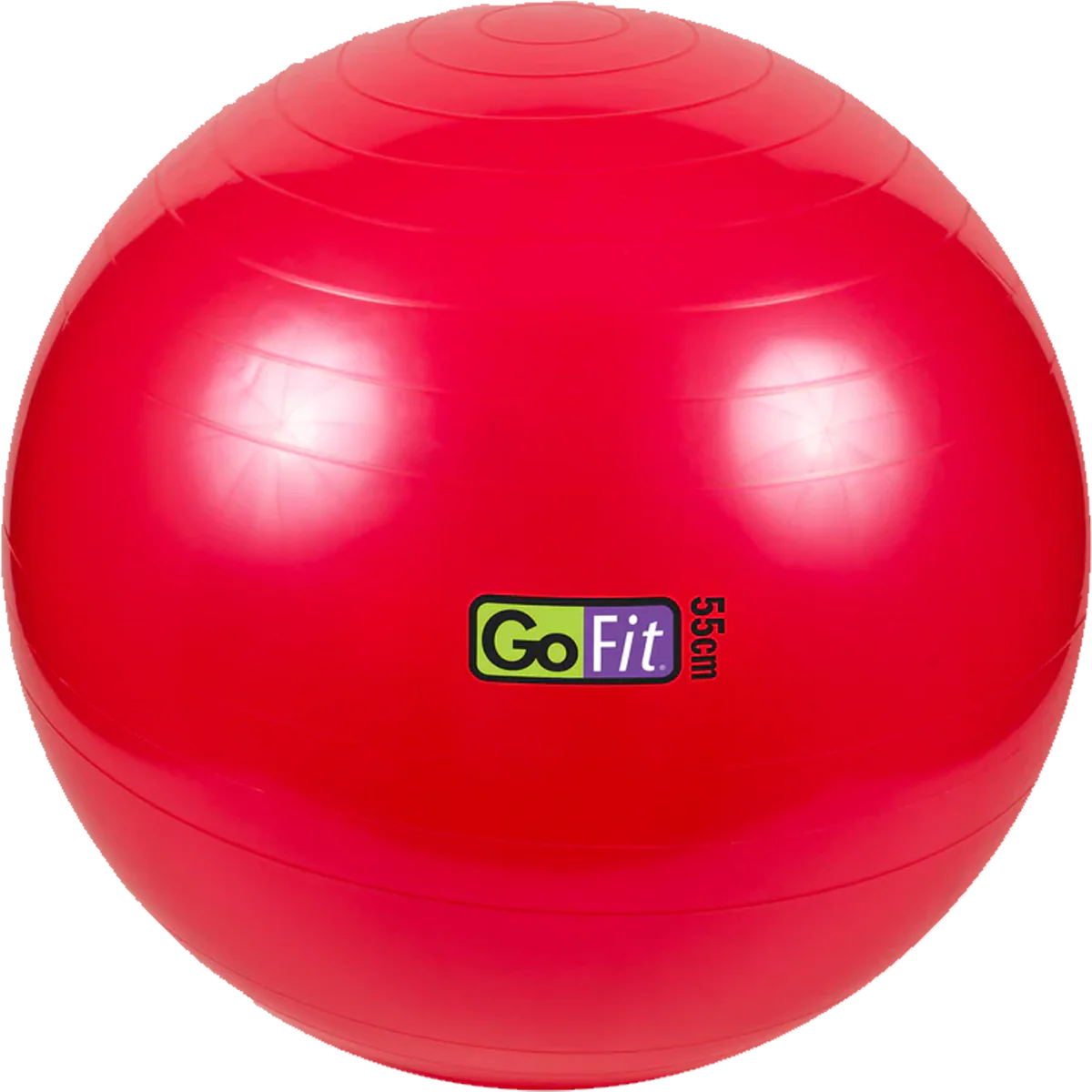 Stability Ball - 55 cm