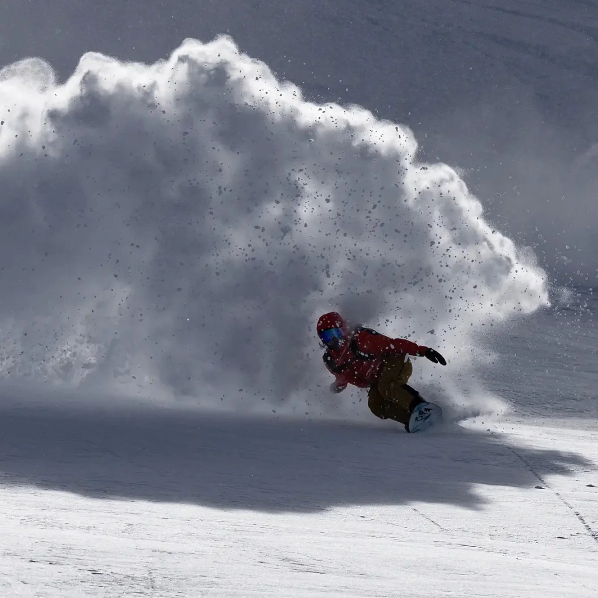 Storm Wolf - Image 8