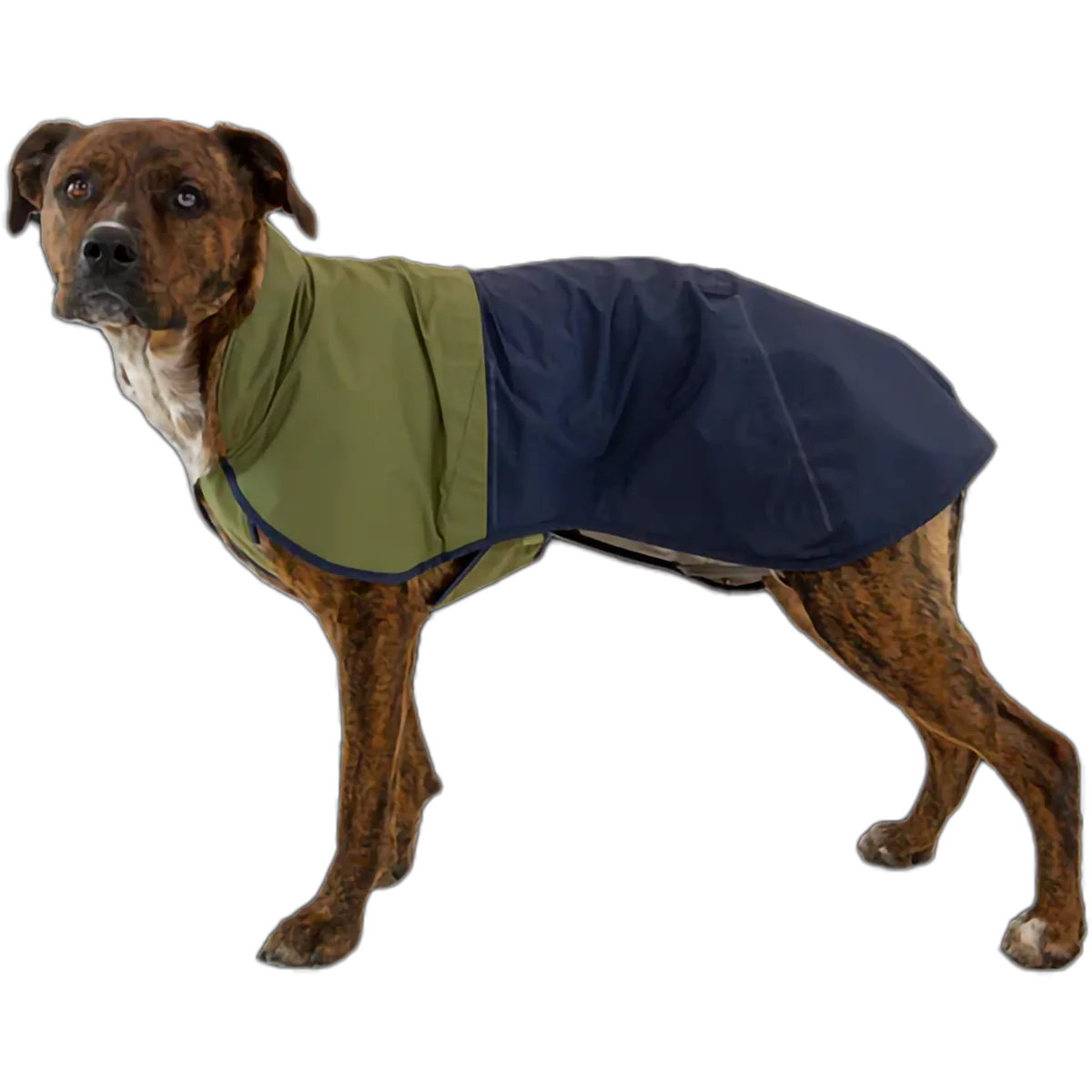 Sun Shower Jacket