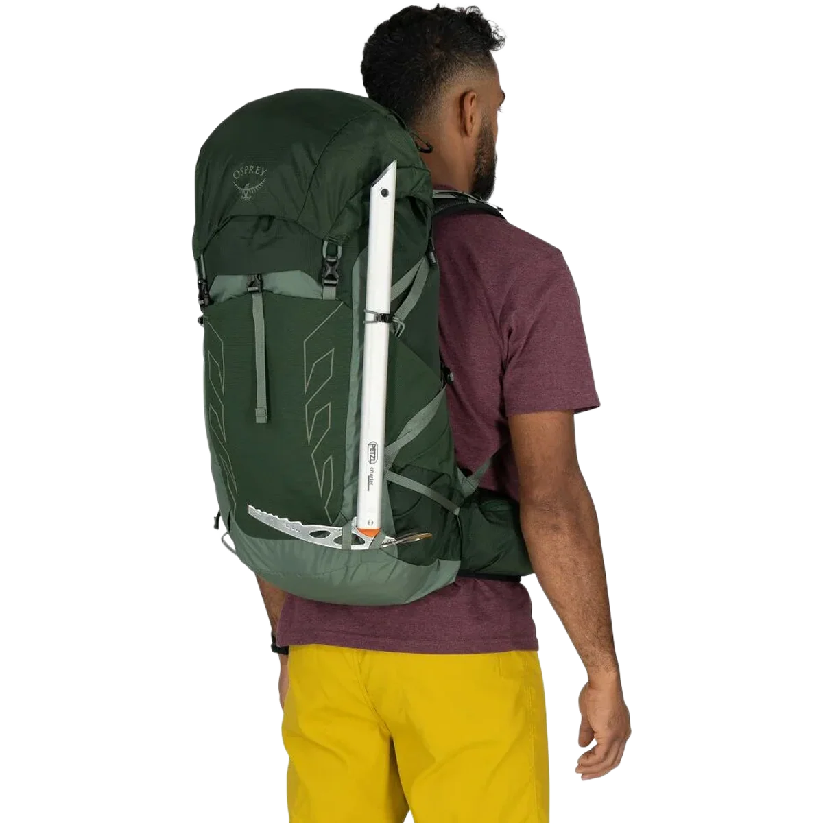 Talon 33 - Image 7