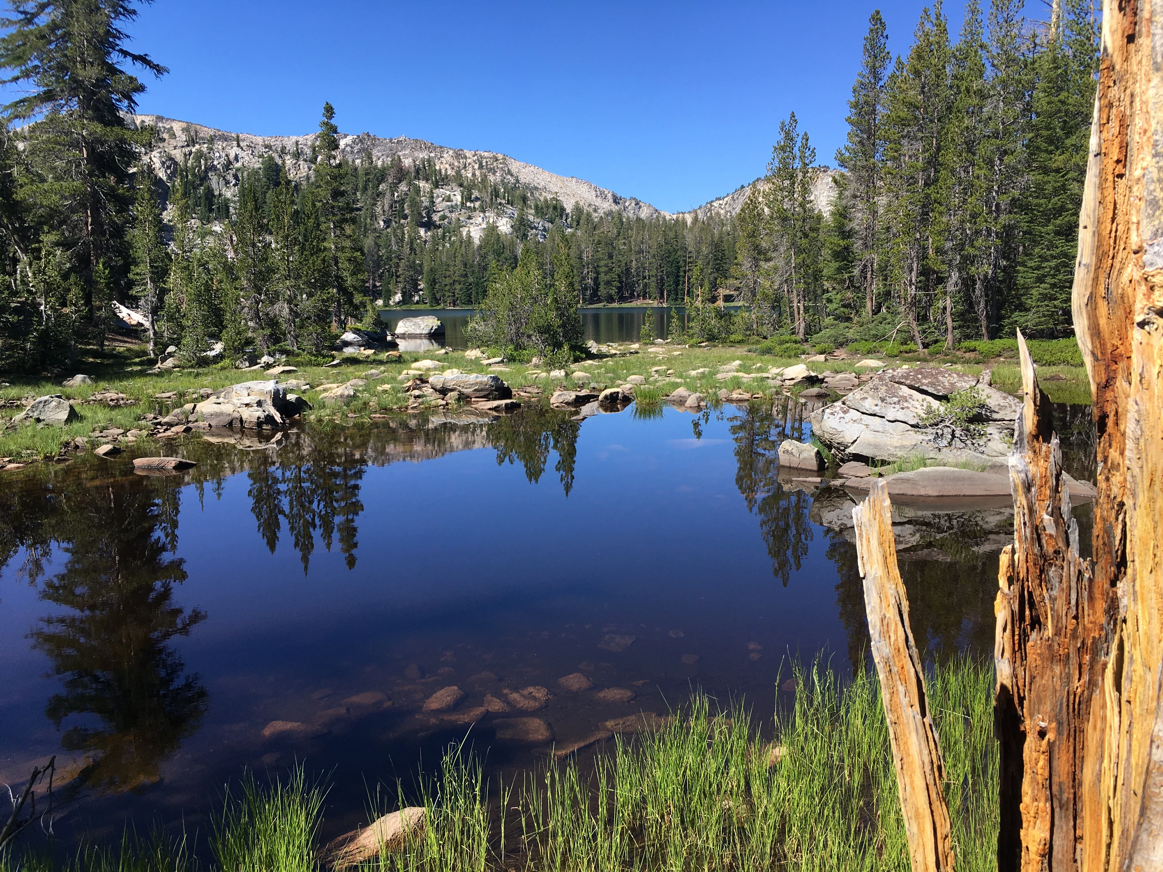 Backpacking Yosemite: Ten Lakes - Image 20